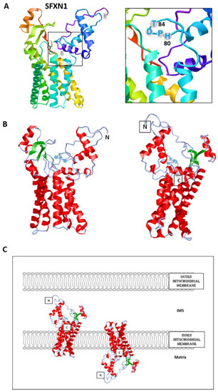 Biomedicines 09 00103 g002 550