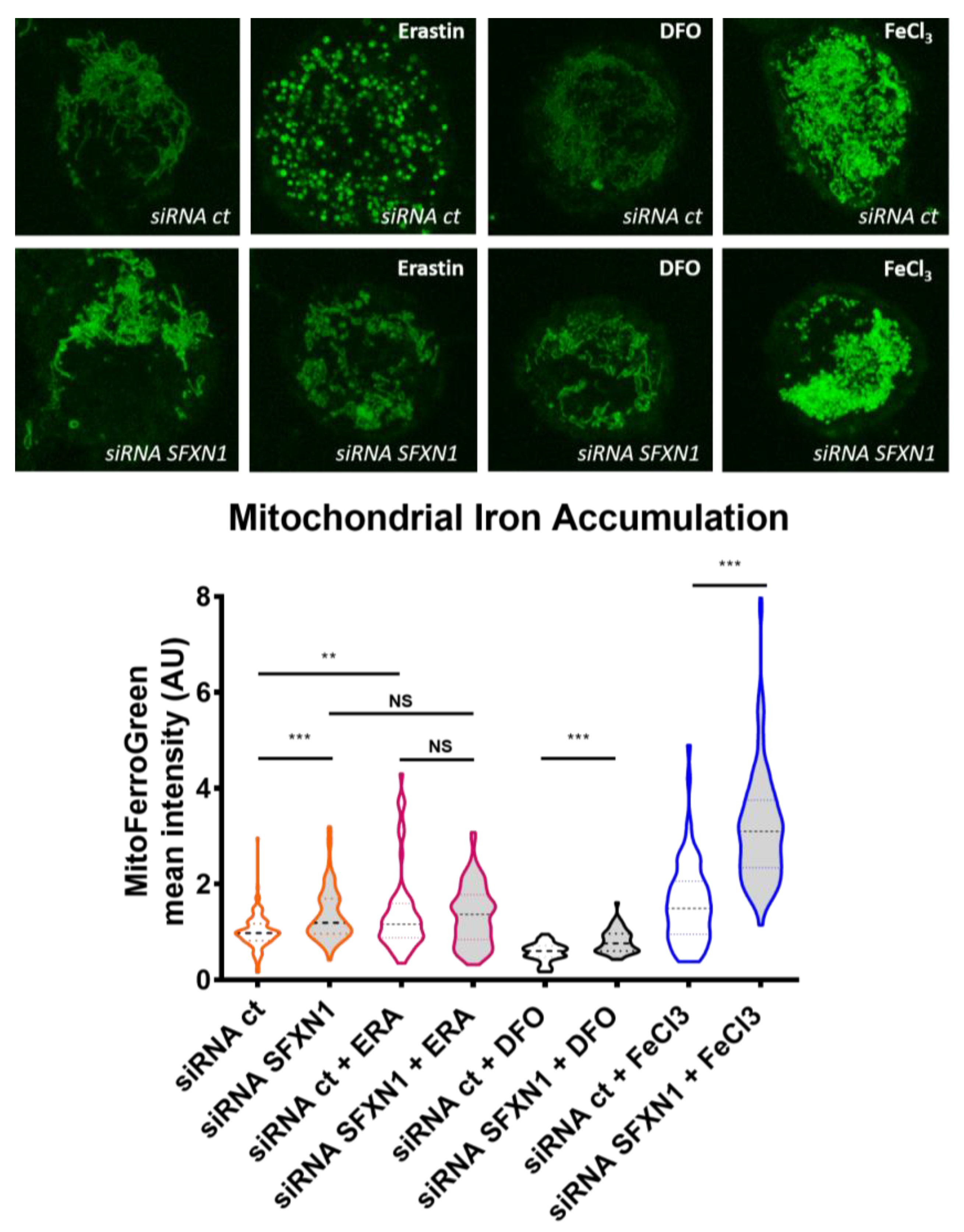 Biomedicines 09 00103 g005 Biomedicines 09 00103 g005