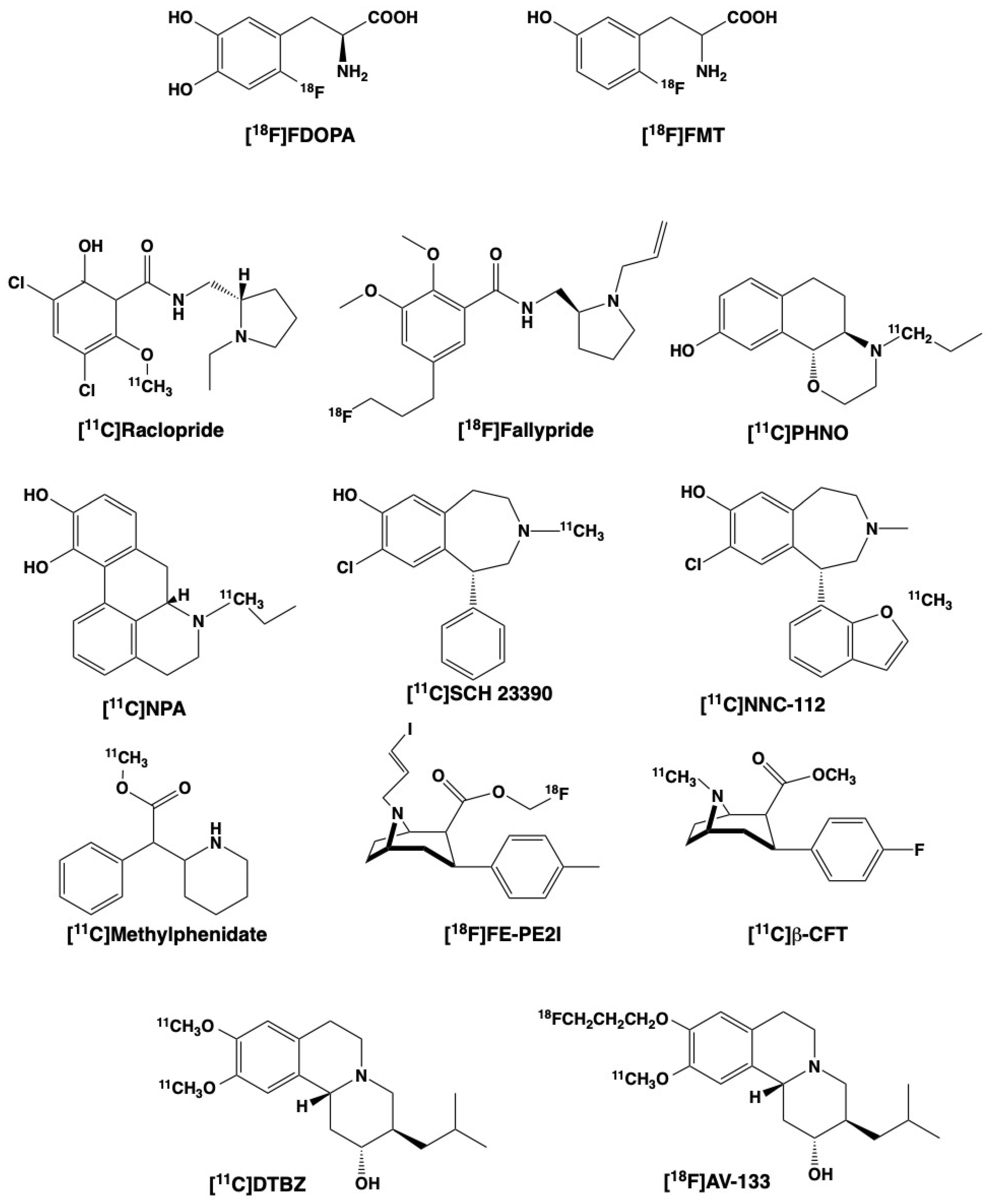 Biomedicines 09 00108 g002