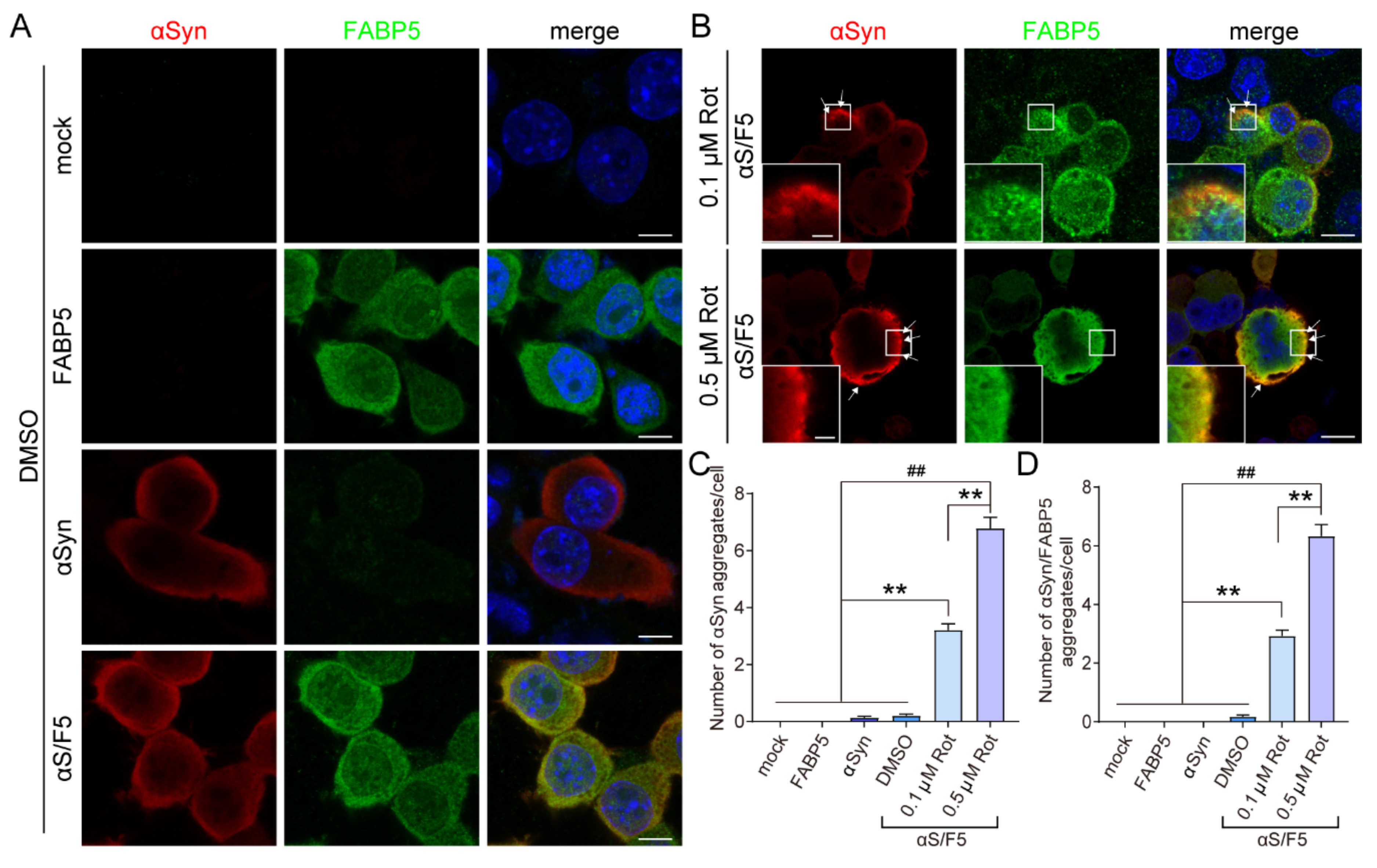 Biomedicines 09 00110 g003