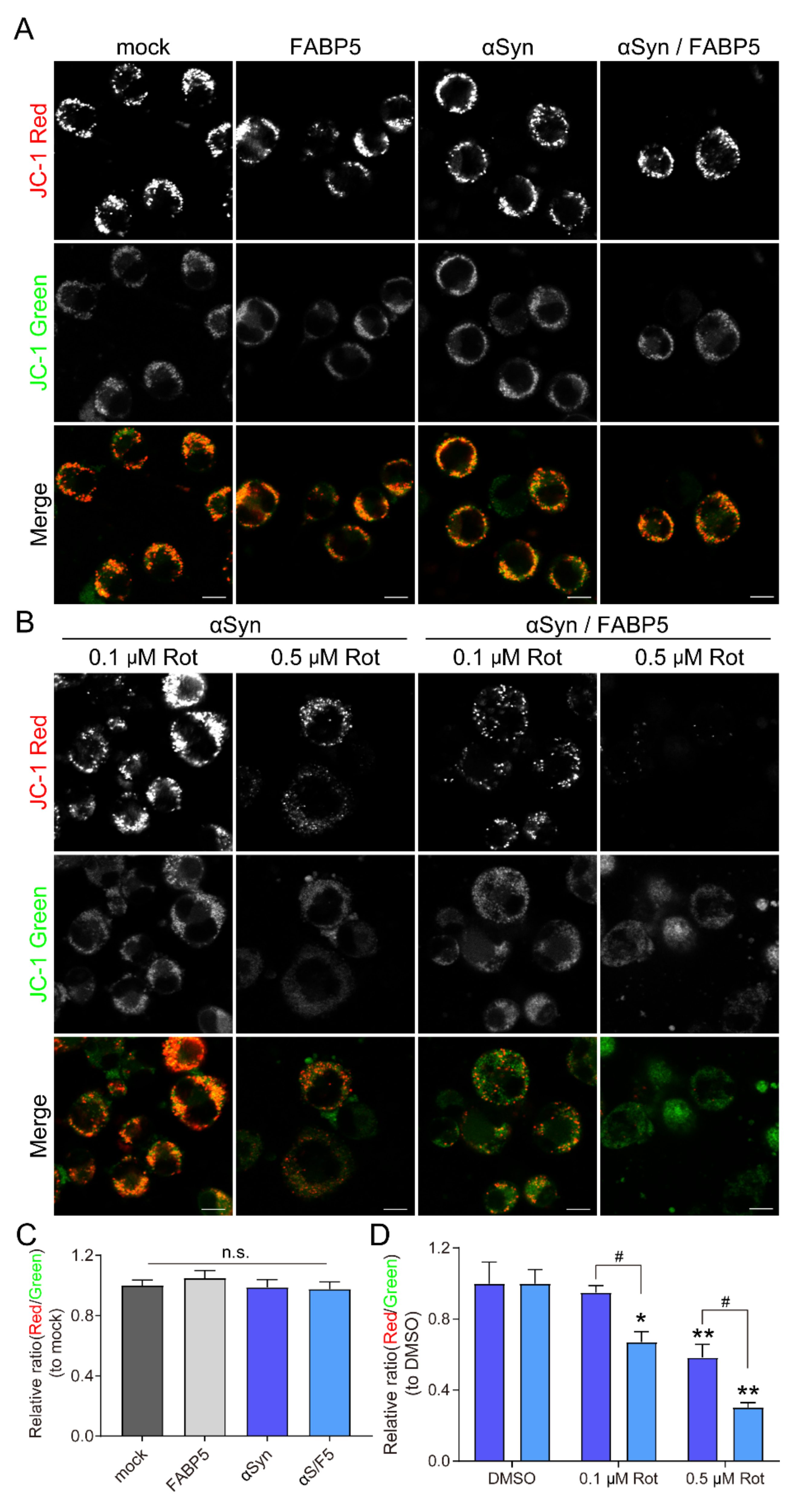 Biomedicines 09 00110 g004