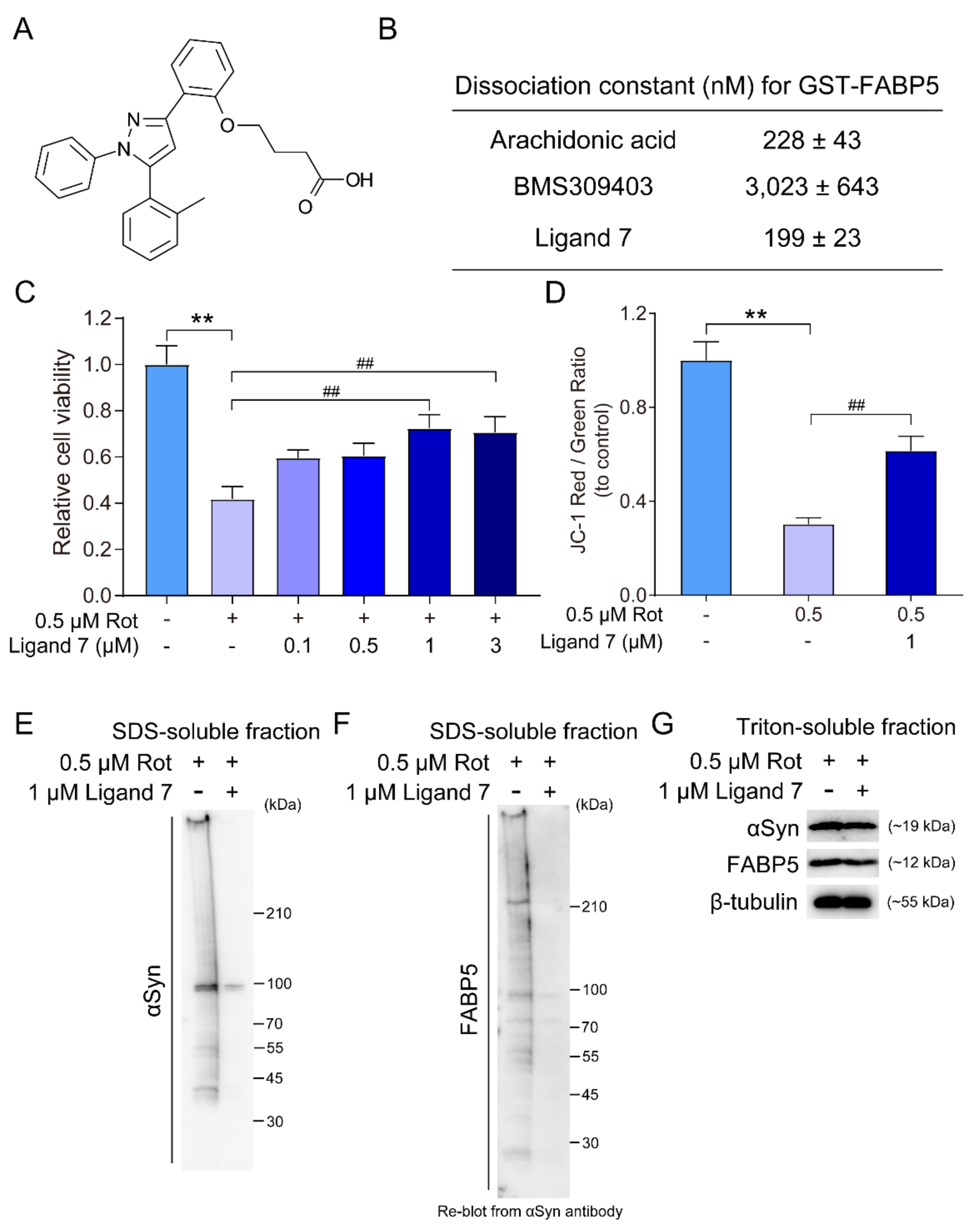 Biomedicines 09 00110 g005