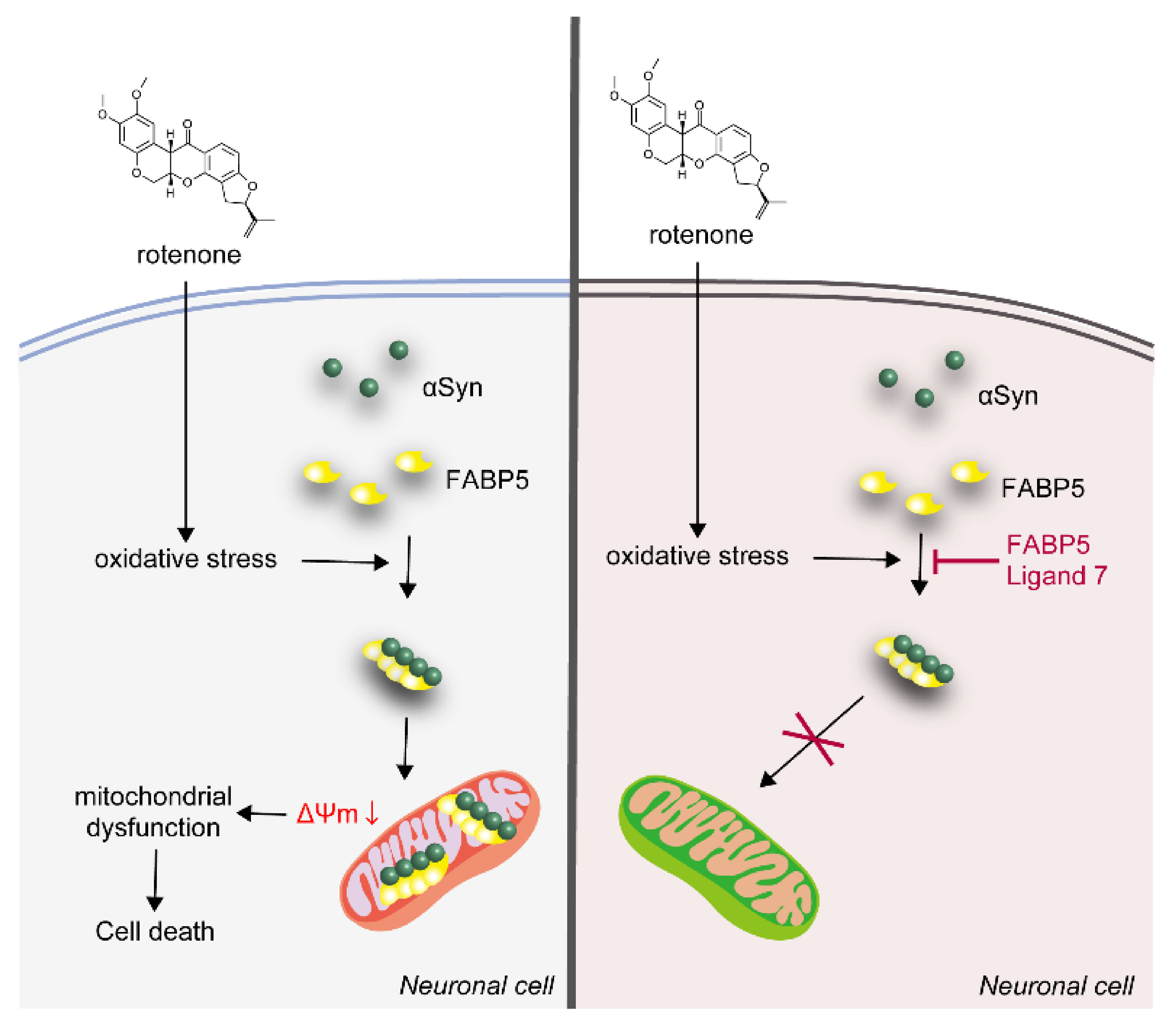 Biomedicines 09 00110 g007