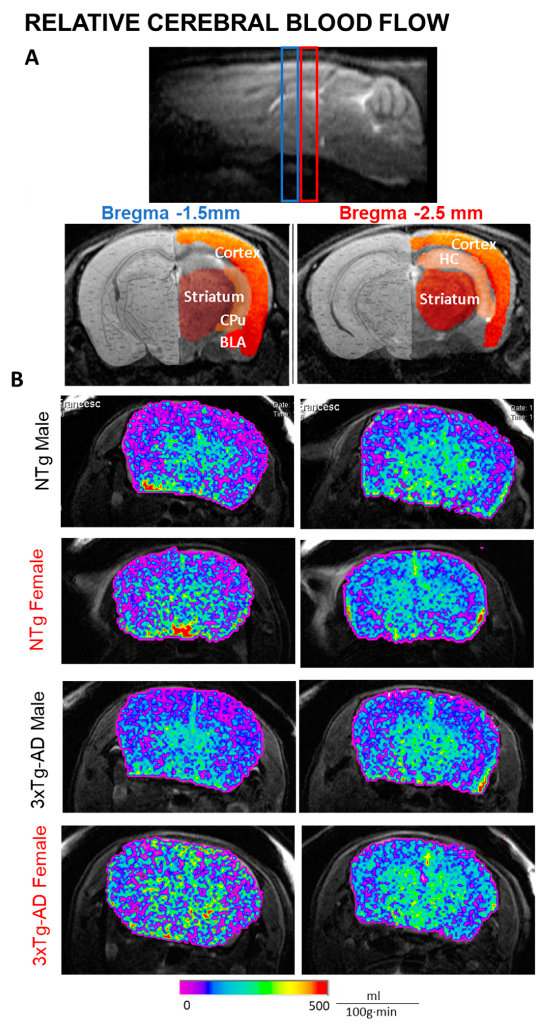 Biomedicines 09 00111 g005 Biomedicines 09 00111 g005