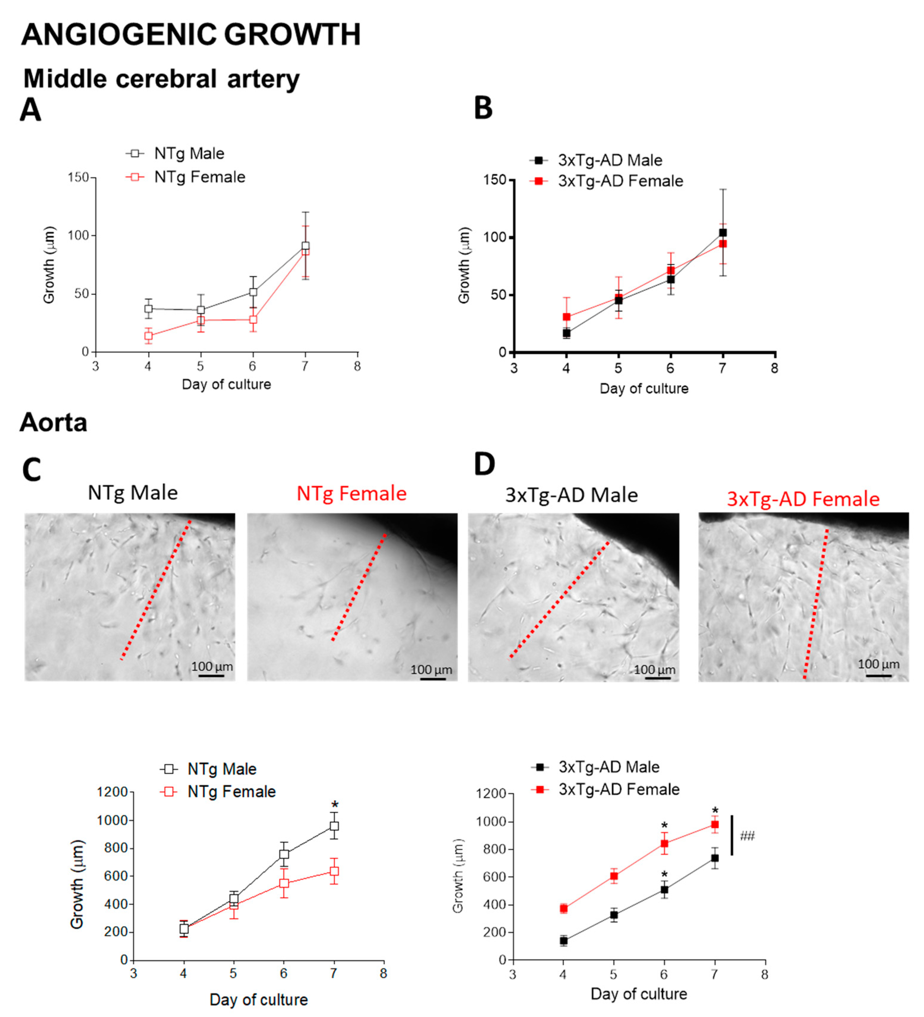 Biomedicines 09 00111 g007 Biomedicines 09 00111 g007