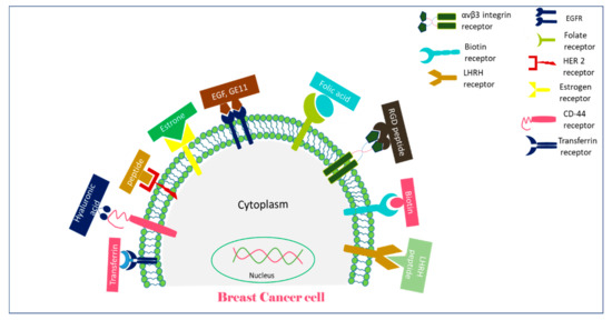 Biomedicines 09 00114 g001 550