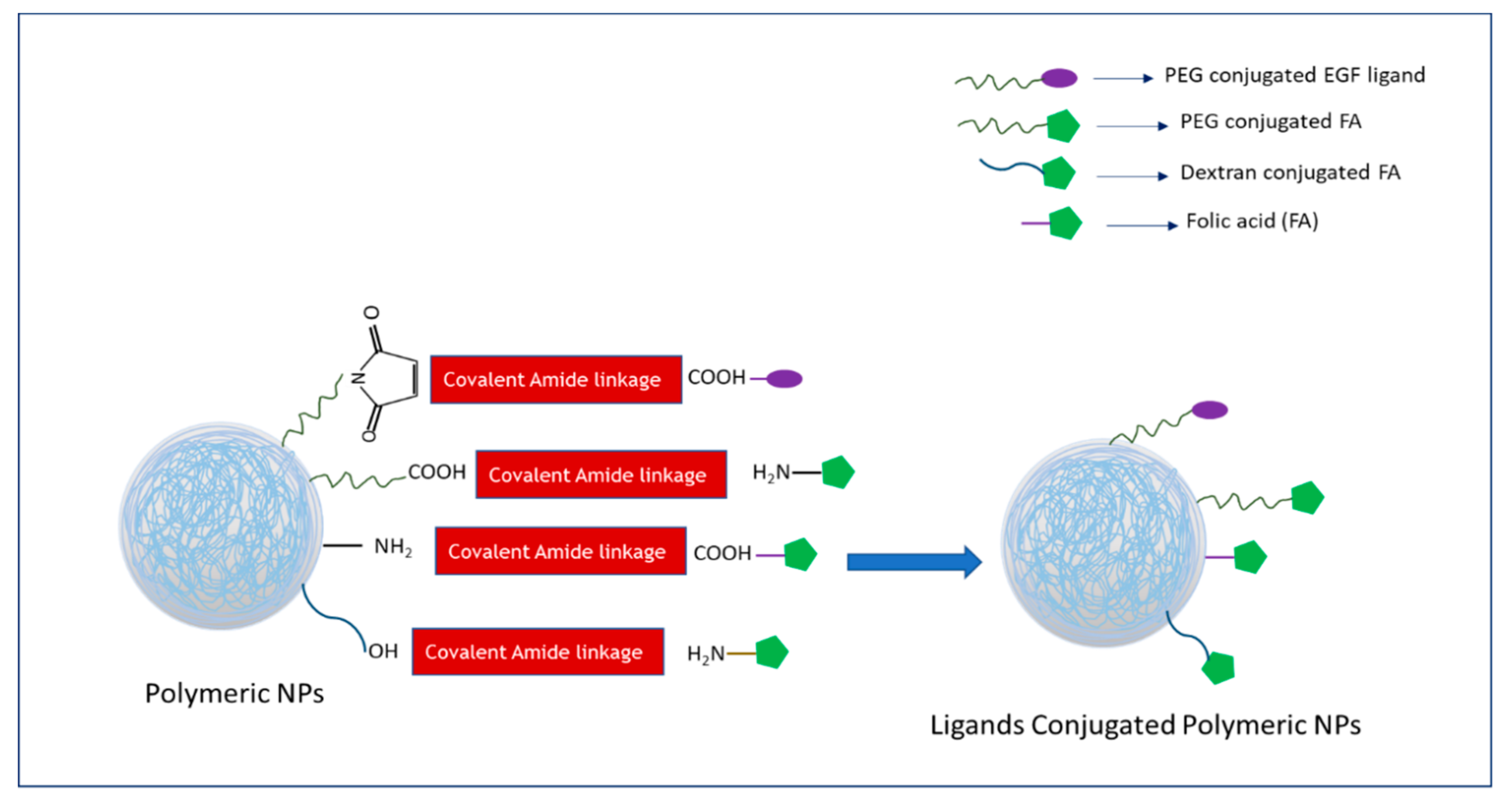 Biomedicines 09 00114 g005 Biomedicines 09 00114 g005
