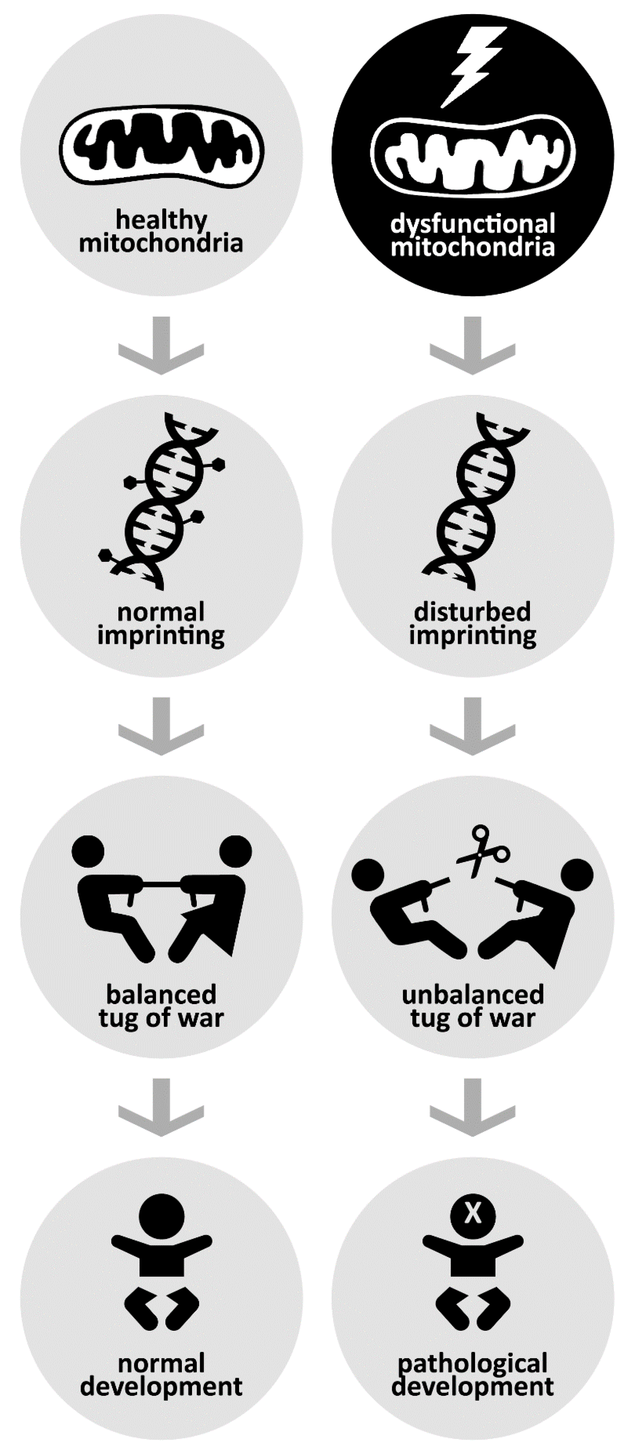 Biomedicines 09 00116 g002