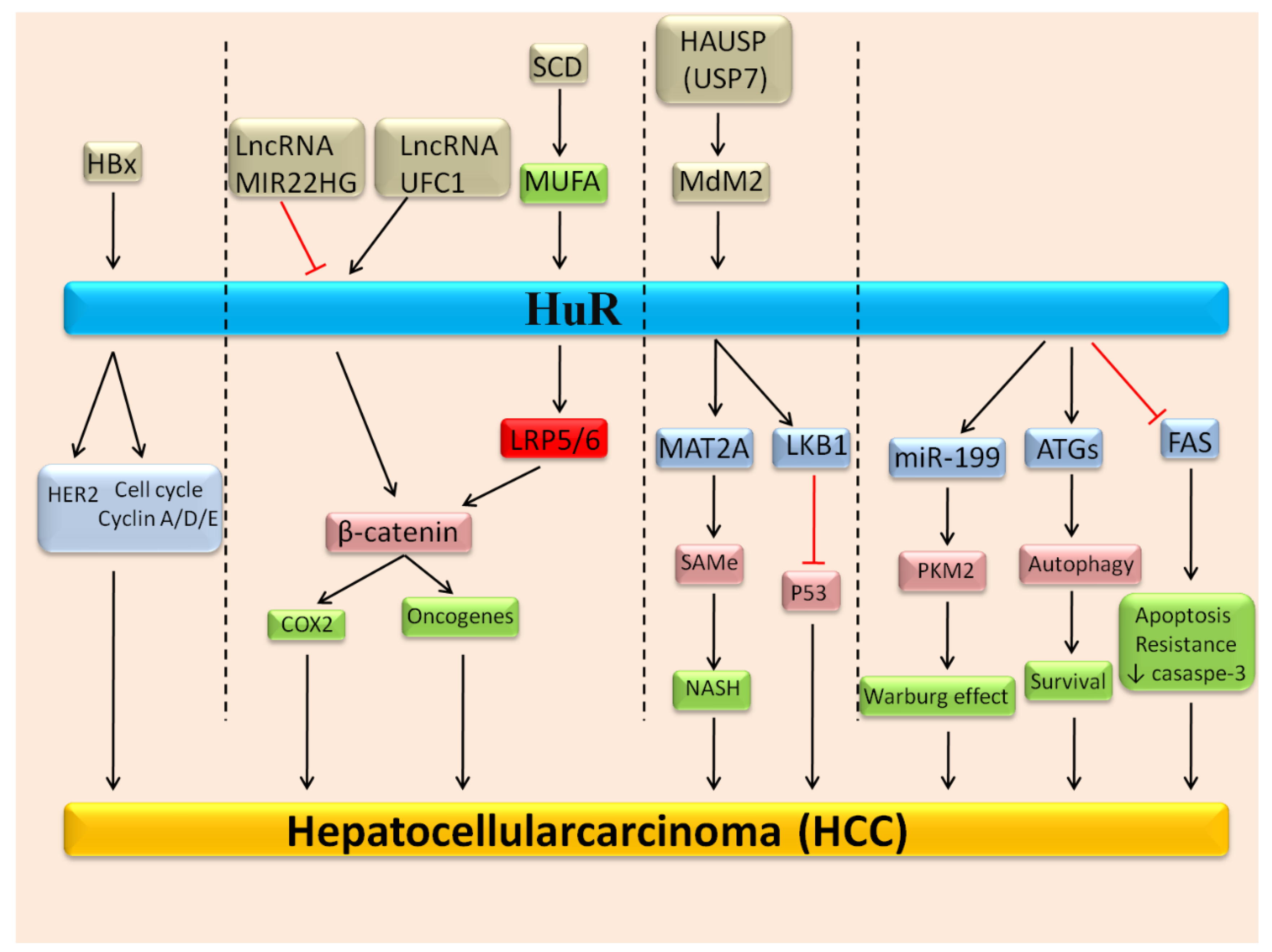 Biomedicines 09 00119 g001 Biomedicines 09 00119 g001
