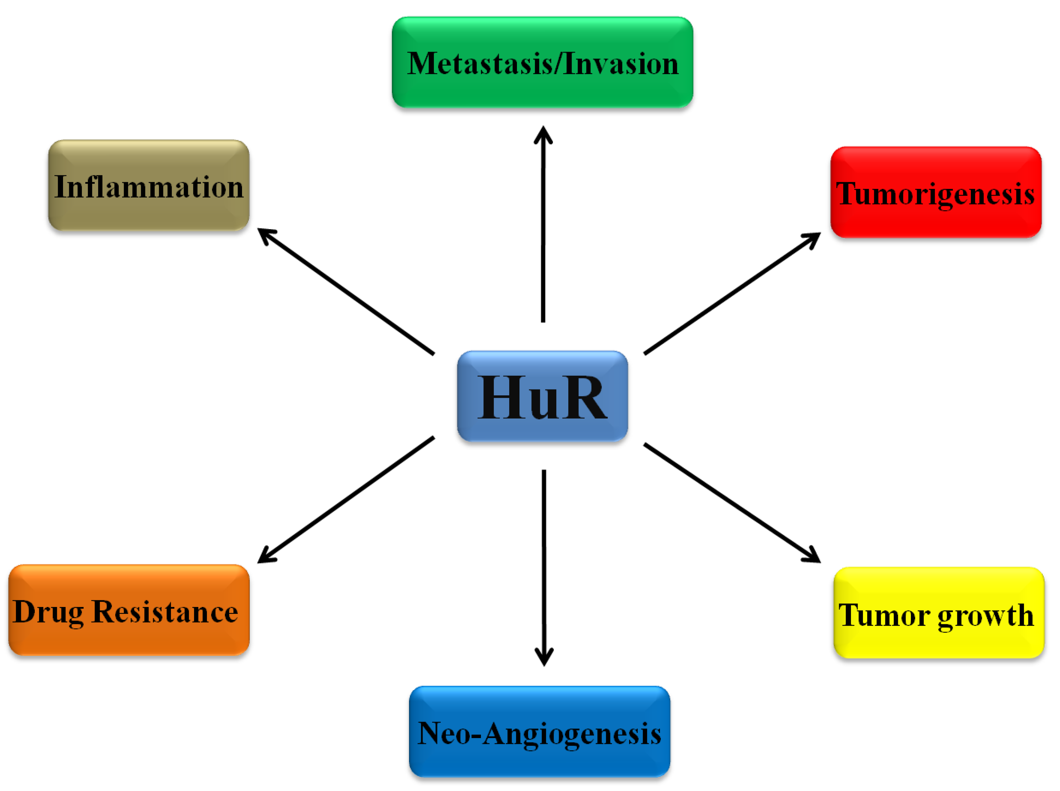 Biomedicines 09 00119 g002 Biomedicines 09 00119 g002