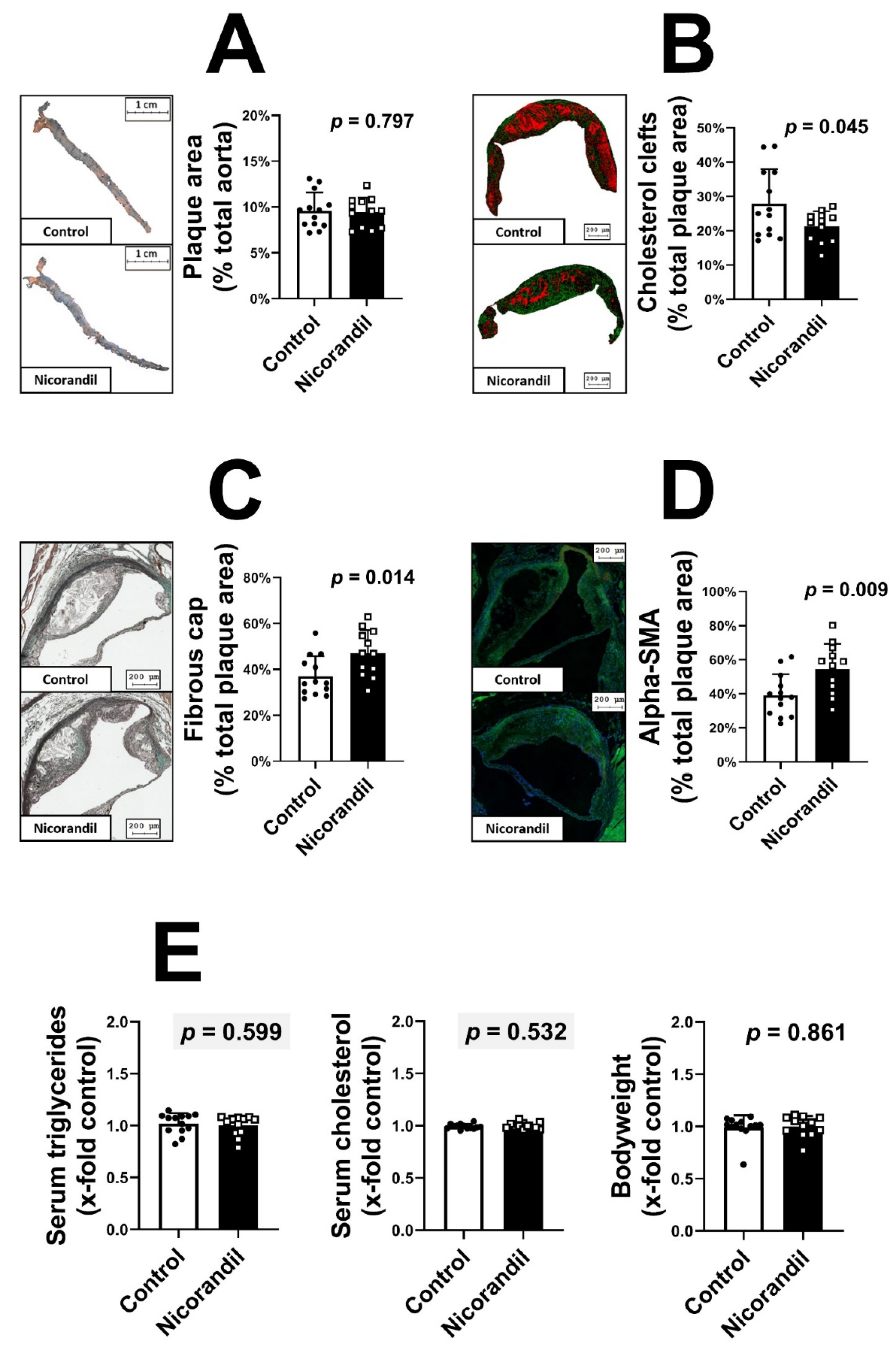 Biomedicines 09 00120 g001