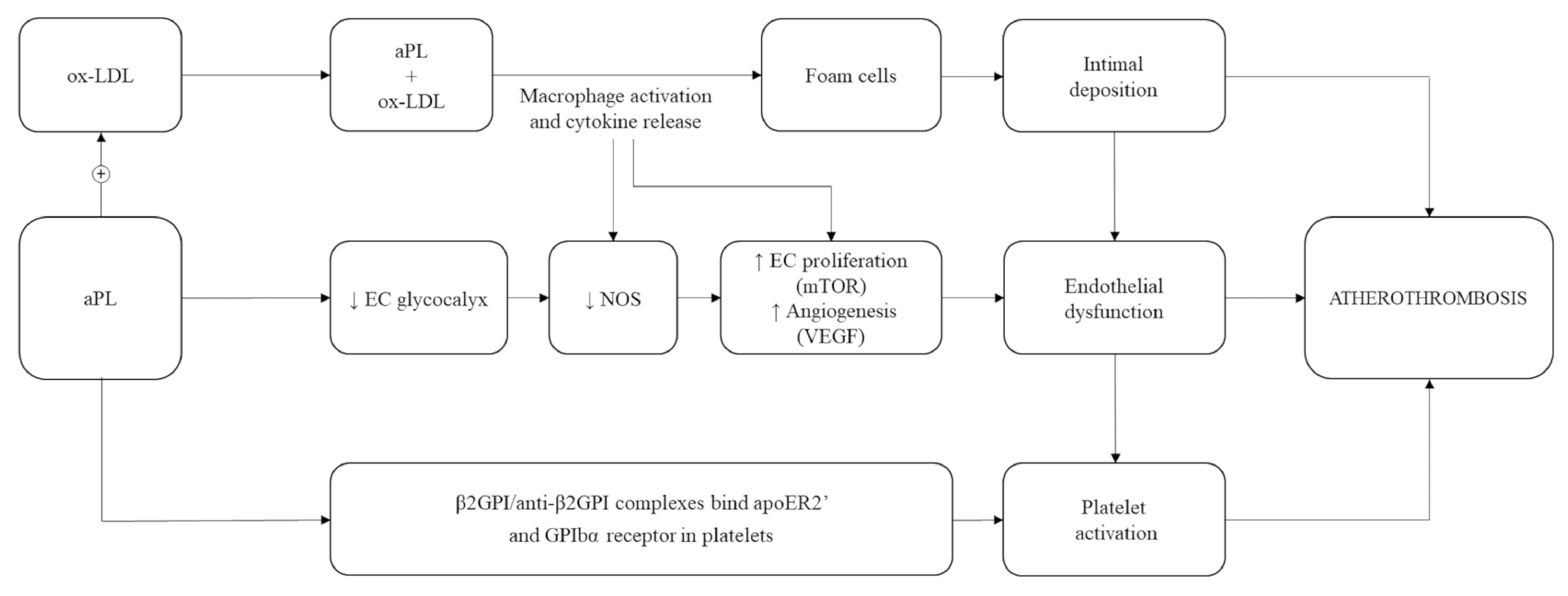 Biomedicines 09 00122 g002