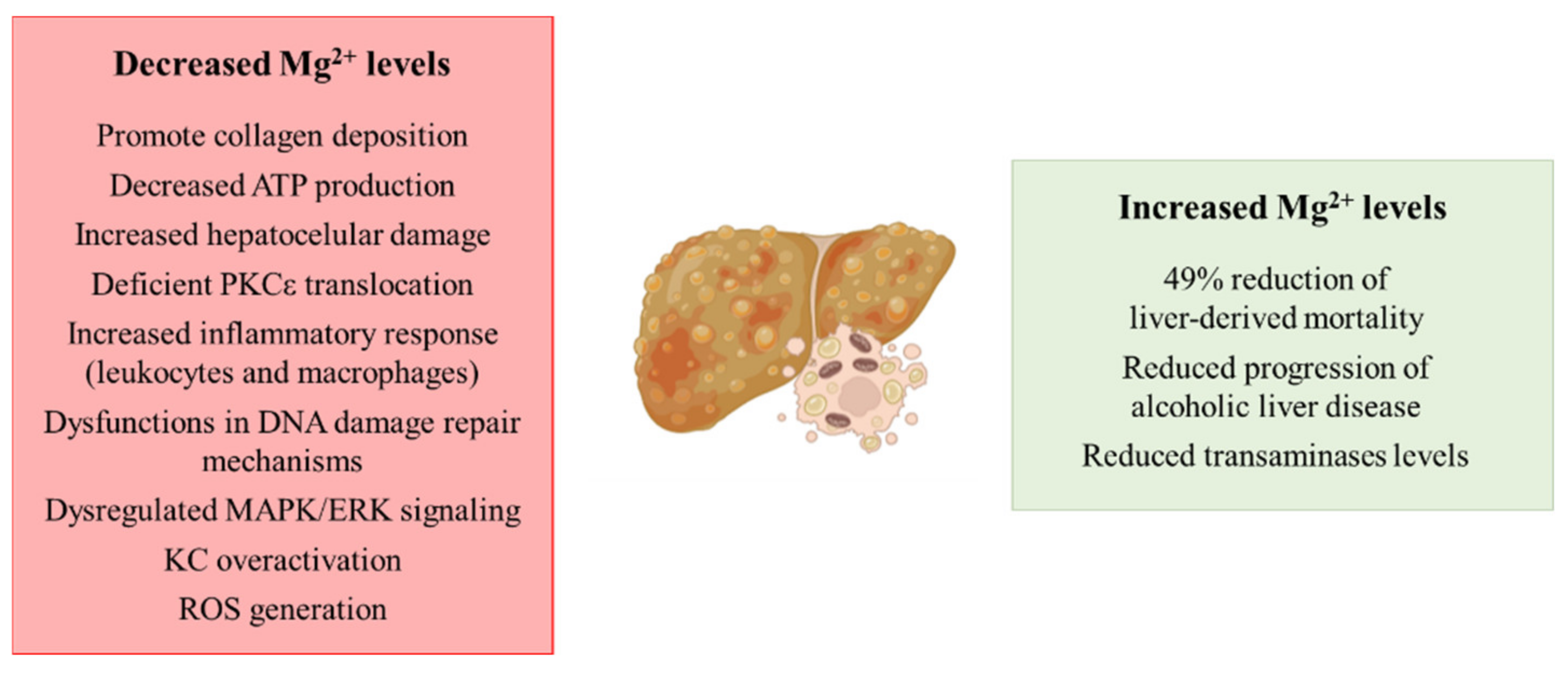 Biomedicines 09 00125 g001 Biomedicines 09 00125 g001