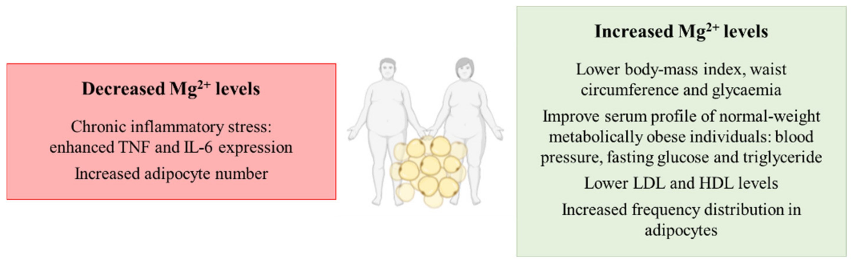 Biomedicines 09 00125 g002 Biomedicines 09 00125 g002