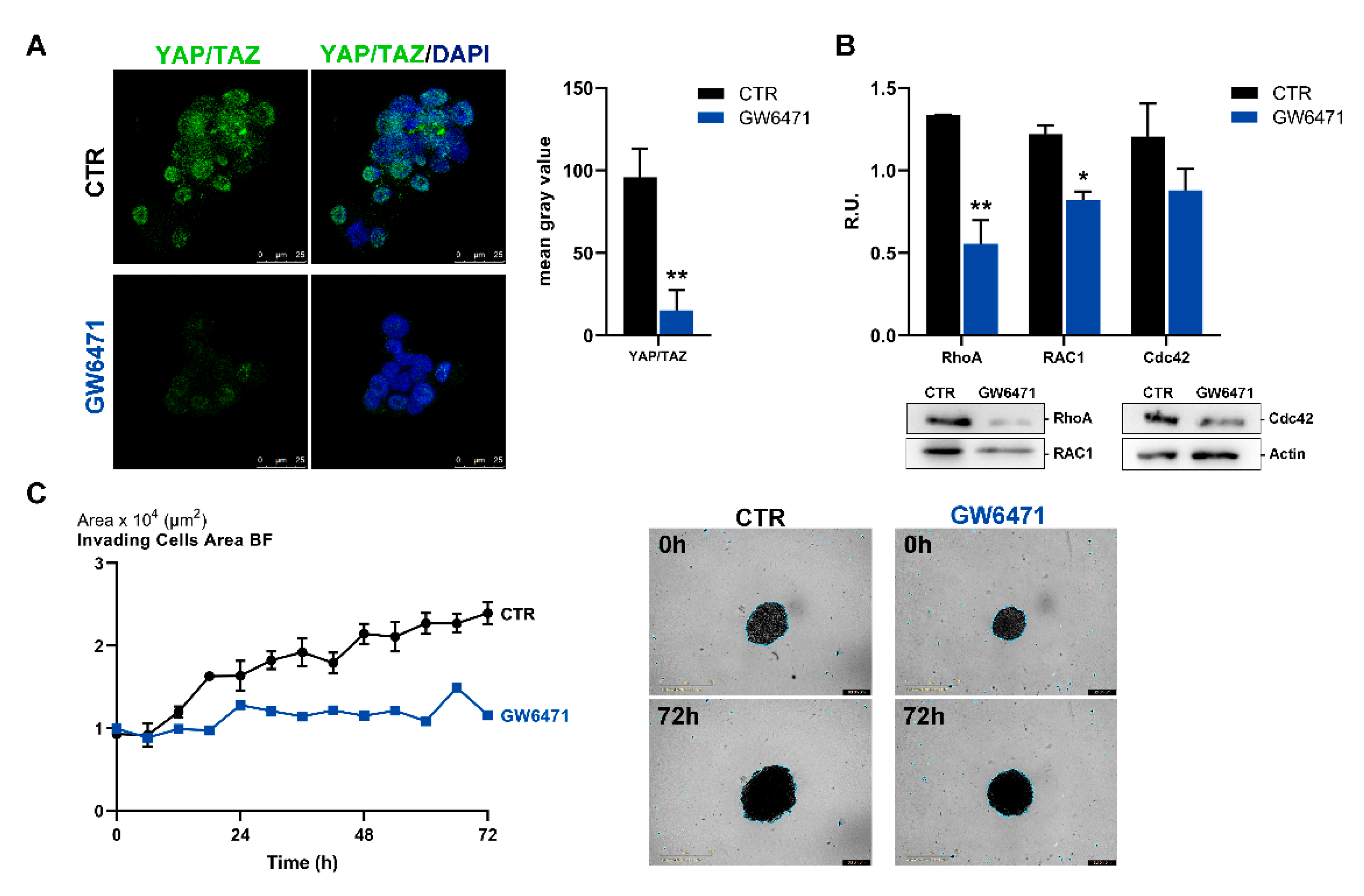 Biomedicines 09 00127 g007
