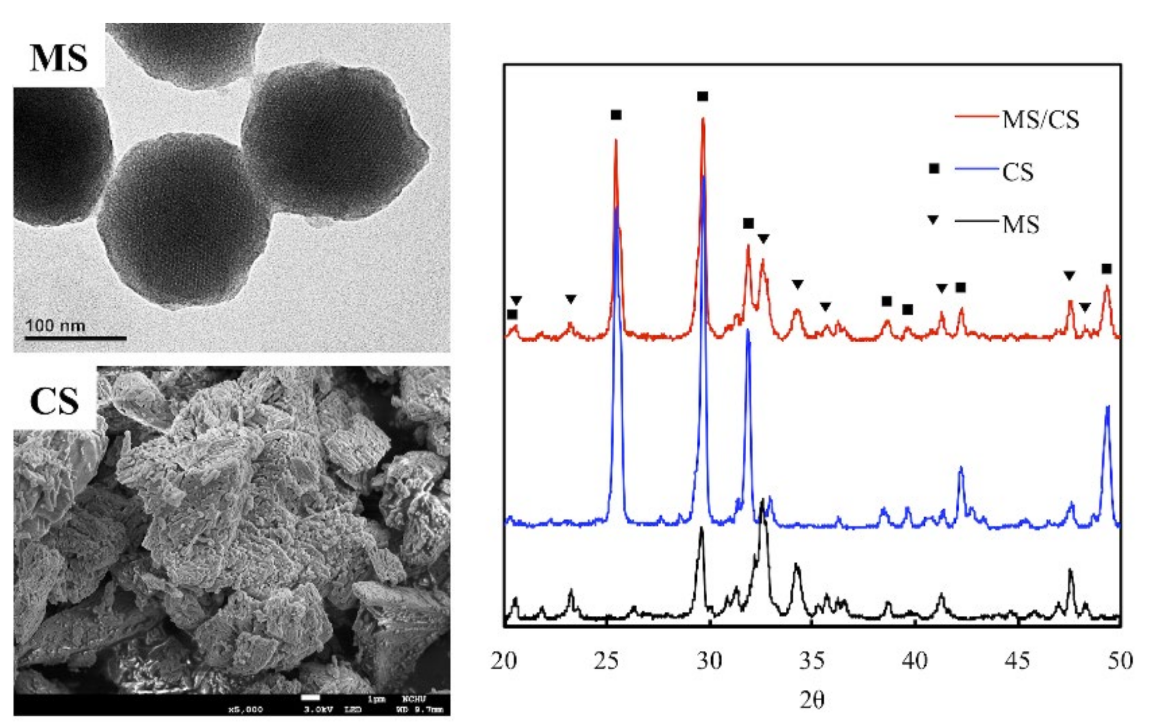Biomedicines 09 00128 g001 Biomedicines 09 00128 g001