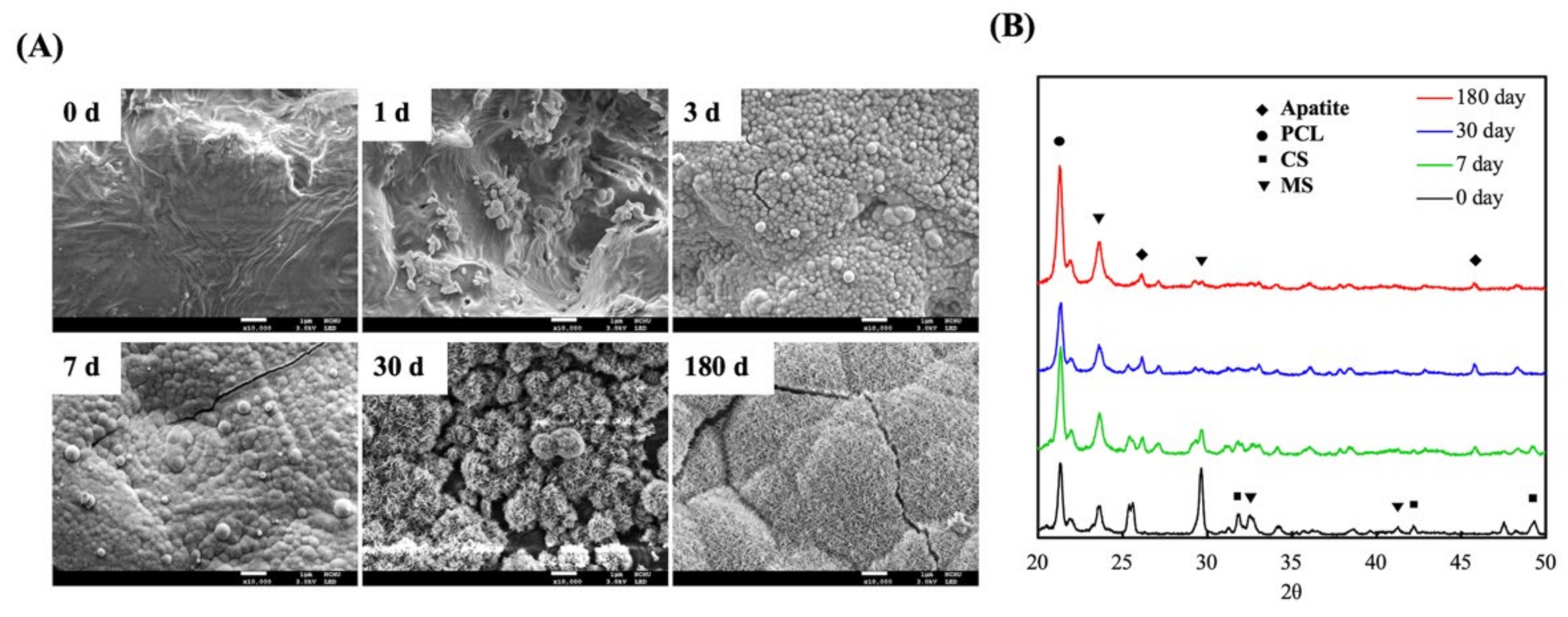 Biomedicines 09 00128 g002 Biomedicines 09 00128 g002