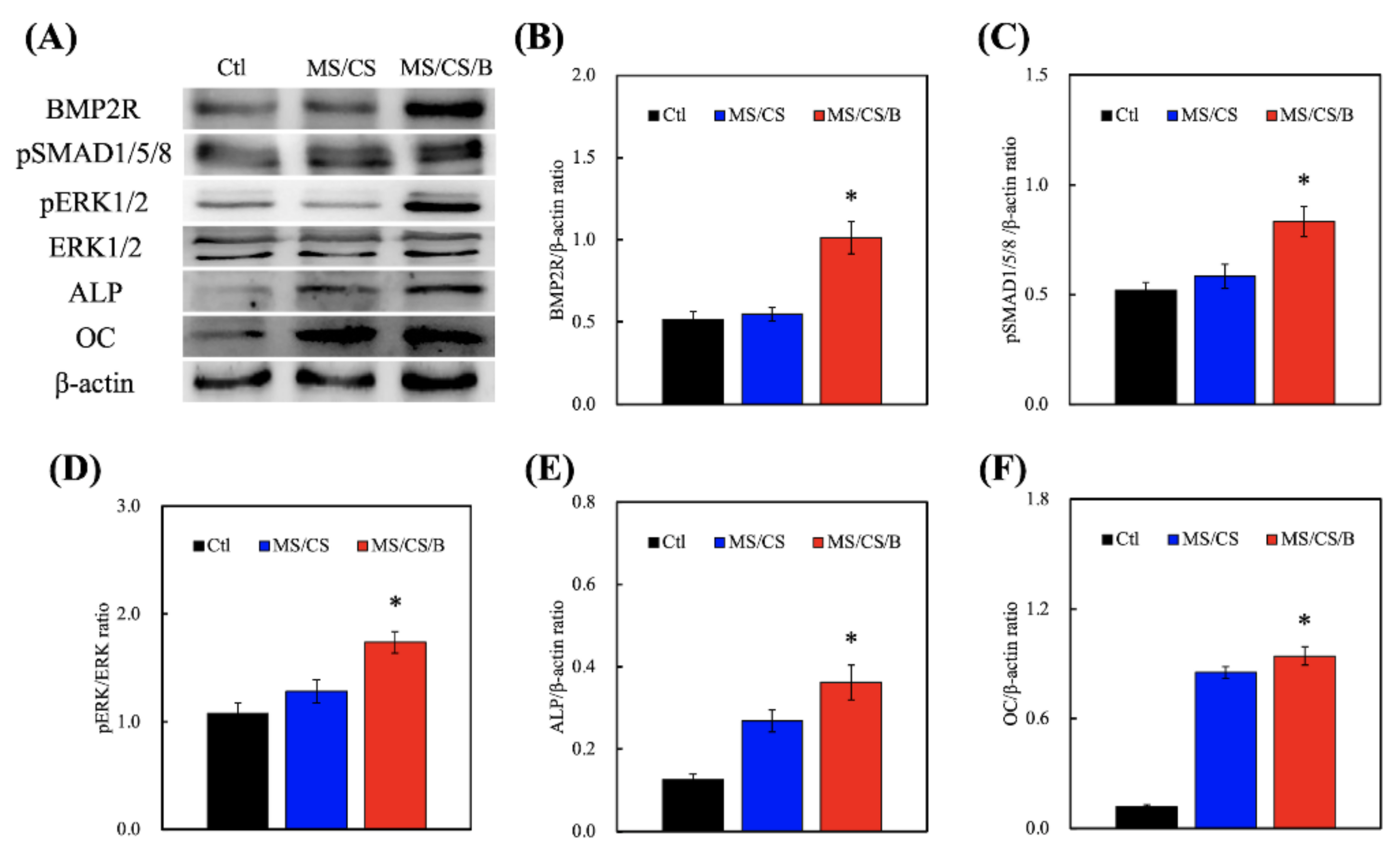 Biomedicines 09 00128 g007 Biomedicines 09 00128 g007