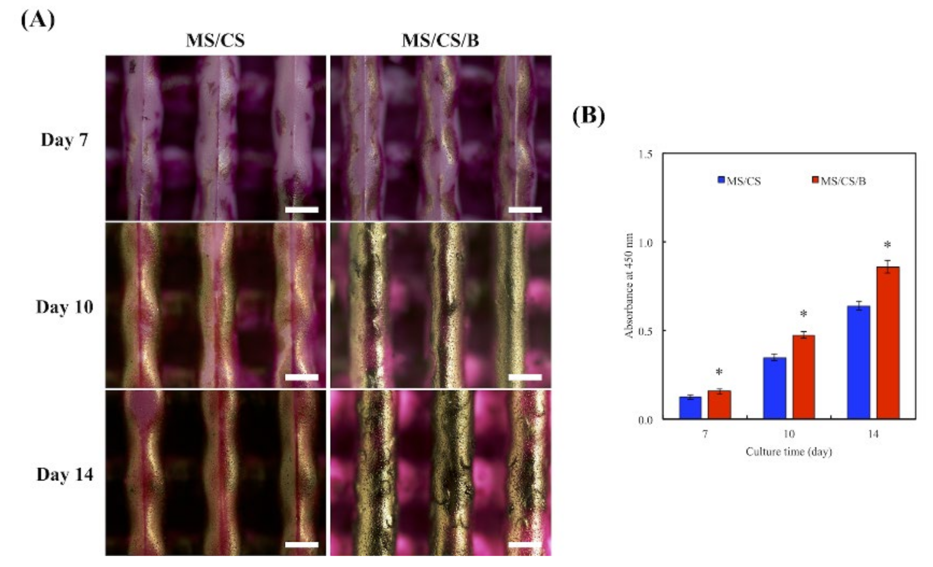 Biomedicines 09 00128 g010 Biomedicines 09 00128 g010