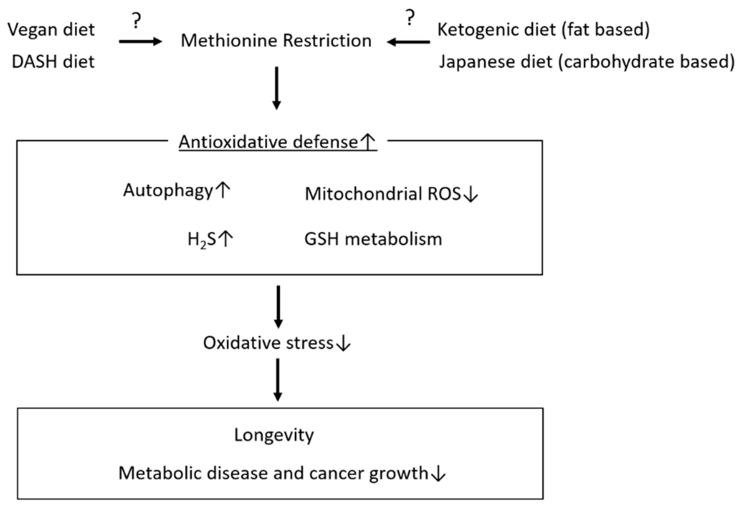 Biomedicines 09 00130 g003