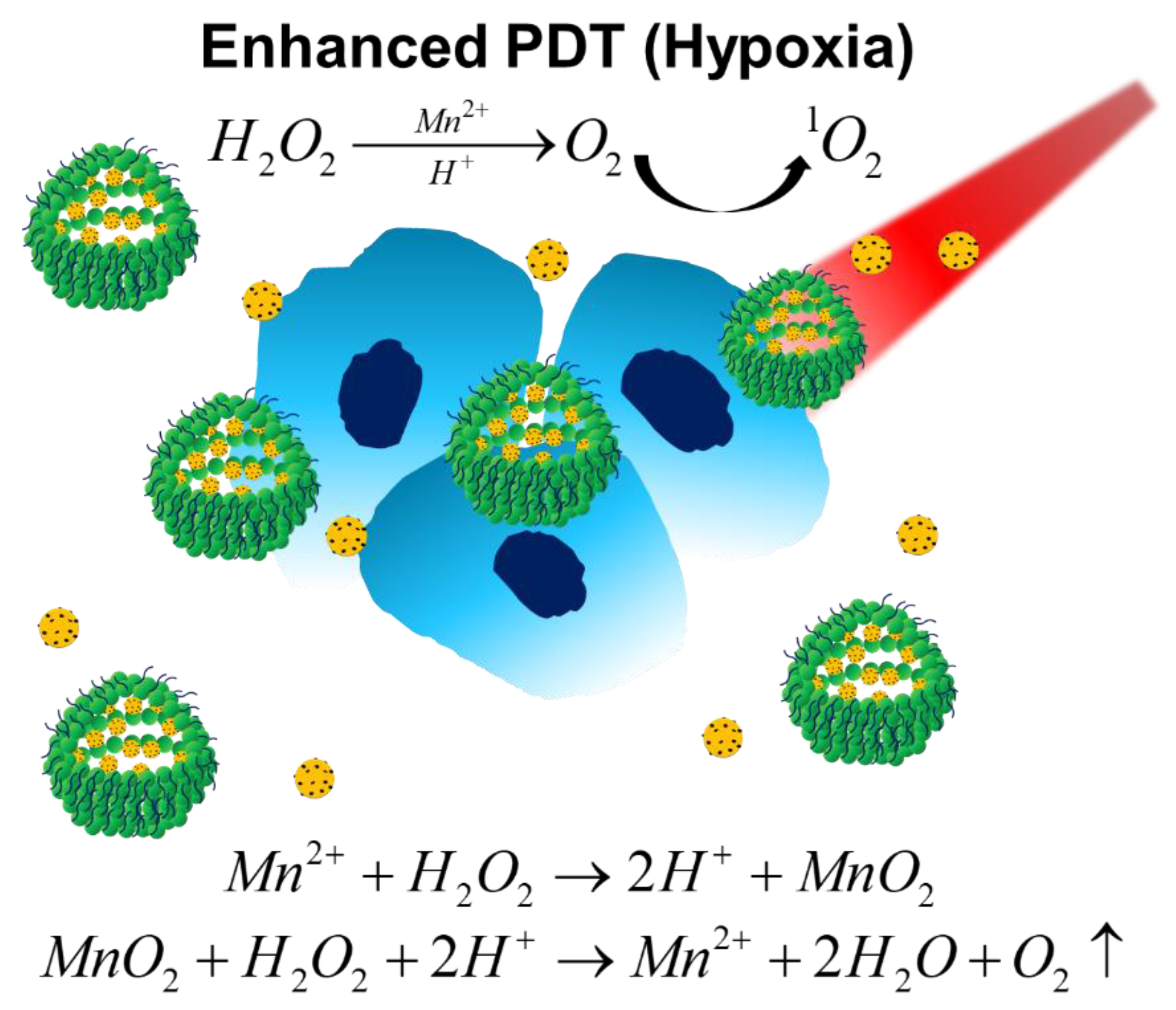 Biomedicines 09 00137 g003 Biomedicines 09 00137 g003