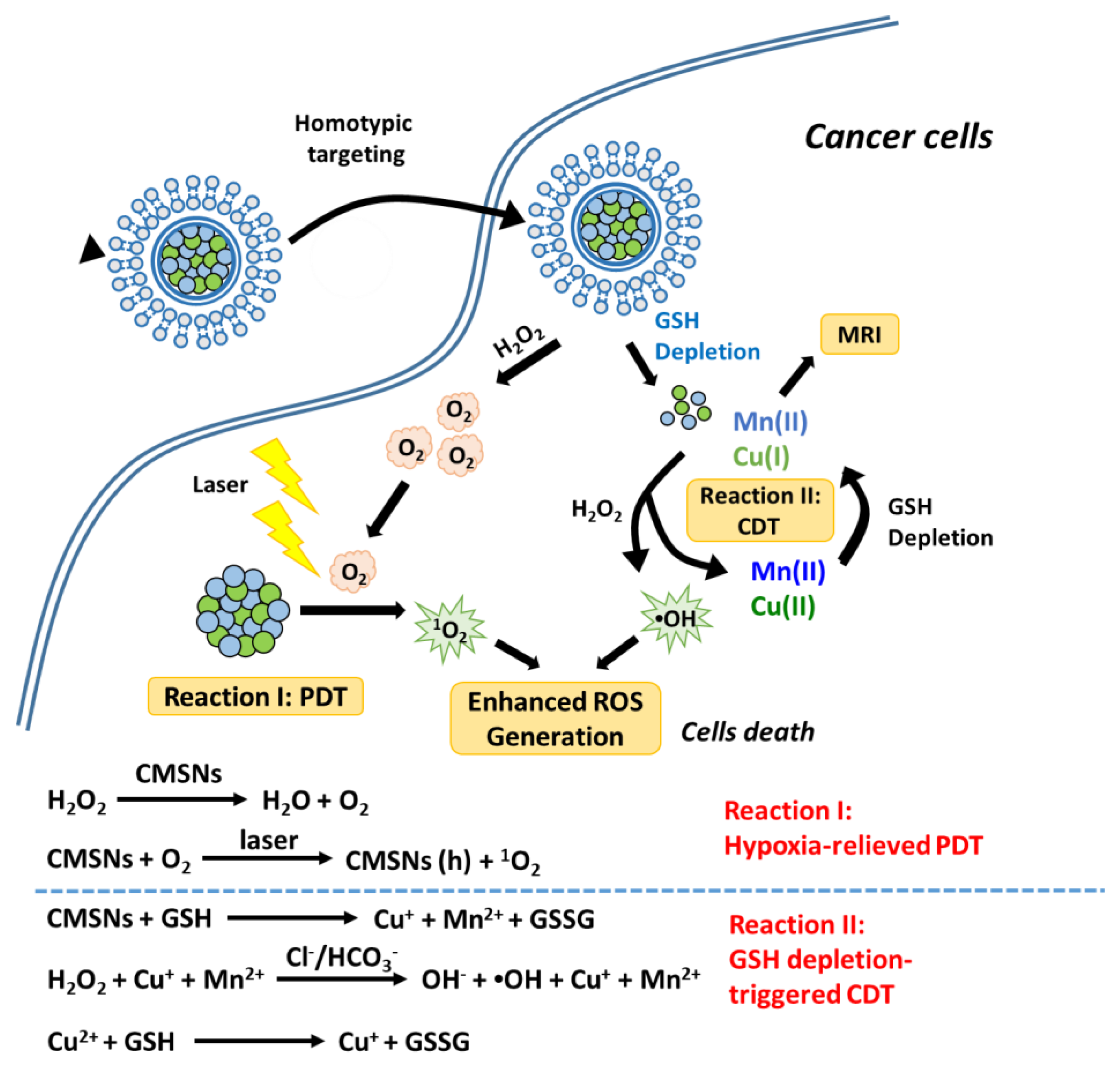 Biomedicines 09 00137 g005 Biomedicines 09 00137 g005