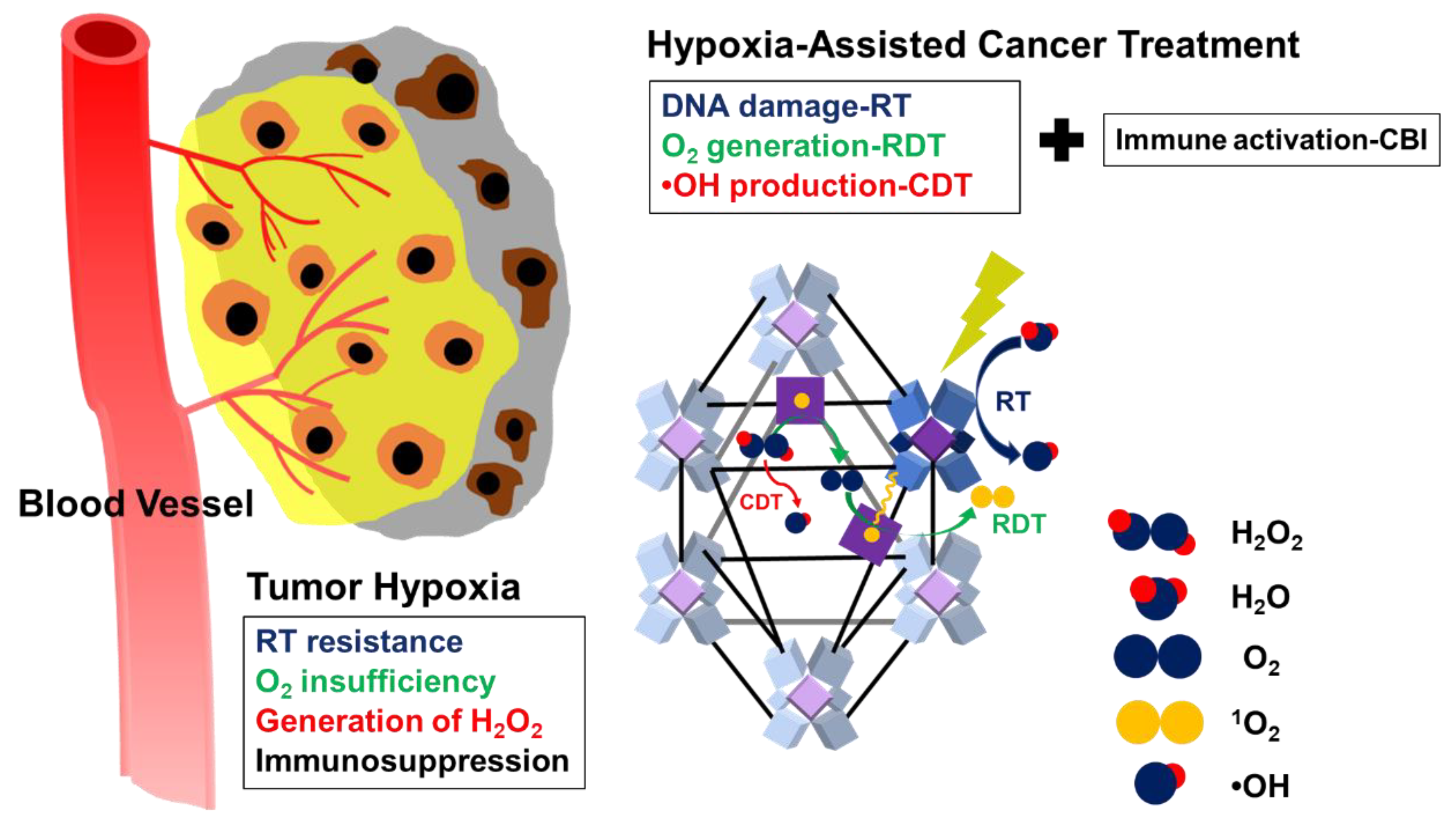 Biomedicines 09 00137 g006 Biomedicines 09 00137 g006