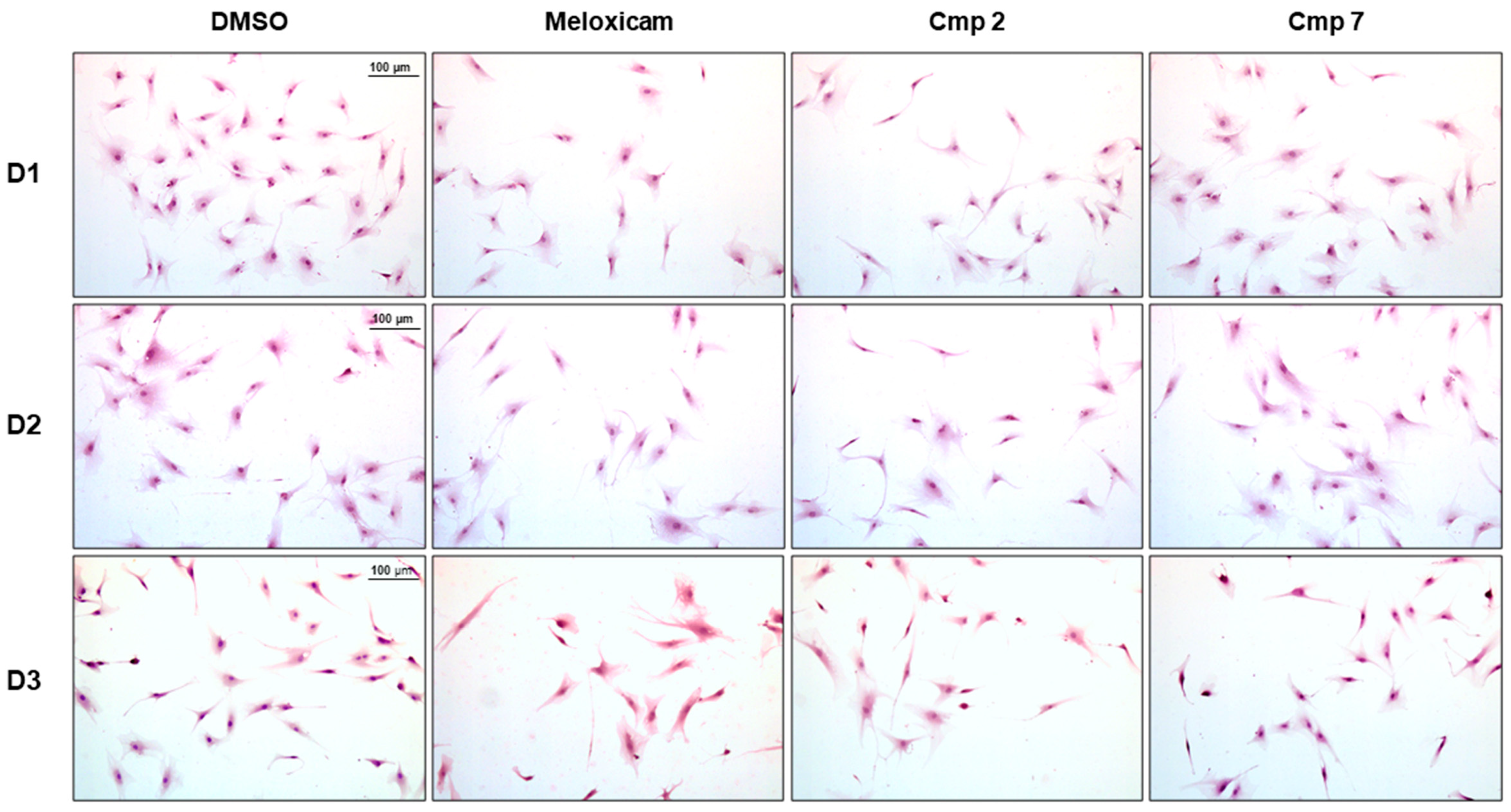 Biomedicines 09 00141 g004