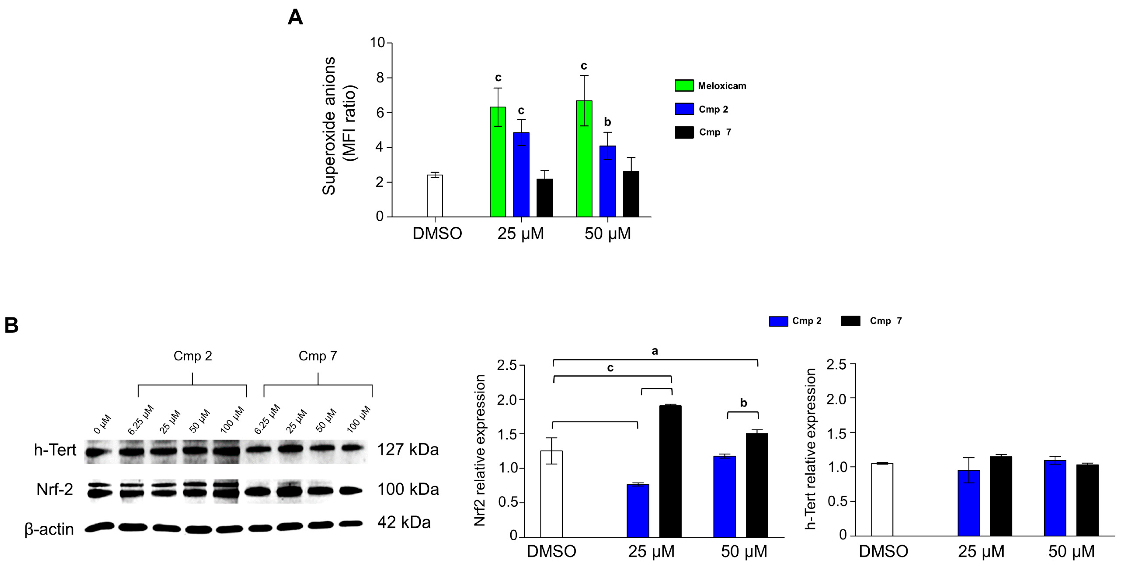 Biomedicines 09 00141 g007