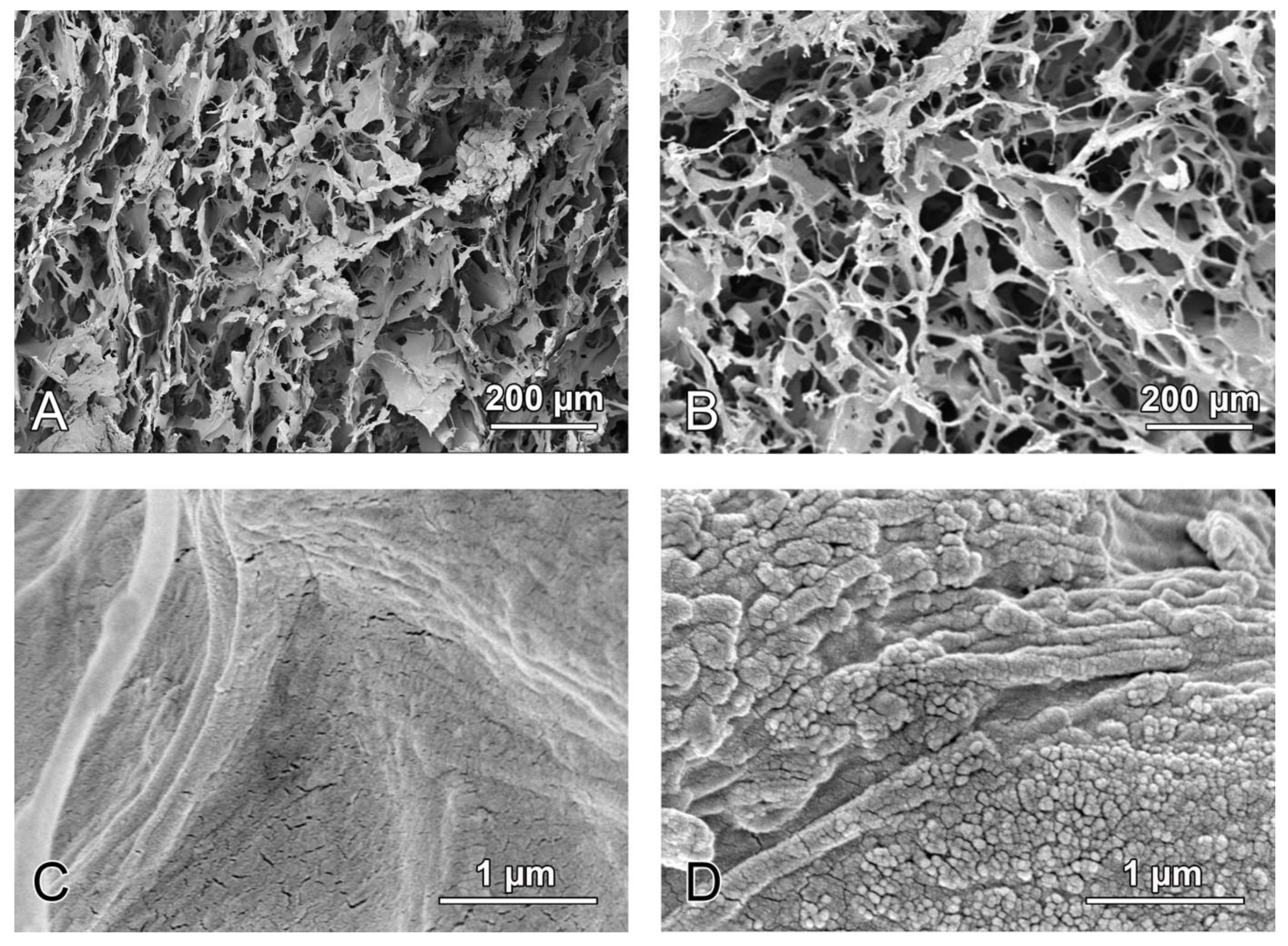 Biomedicines 09 00143 g001 Biomedicines 09 00143 g001