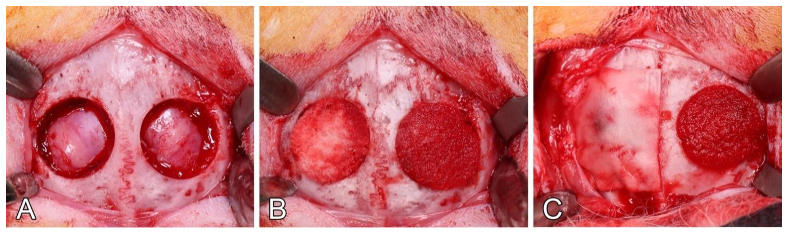 Biomedicines 09 00143 g003 Biomedicines 09 00143 g003