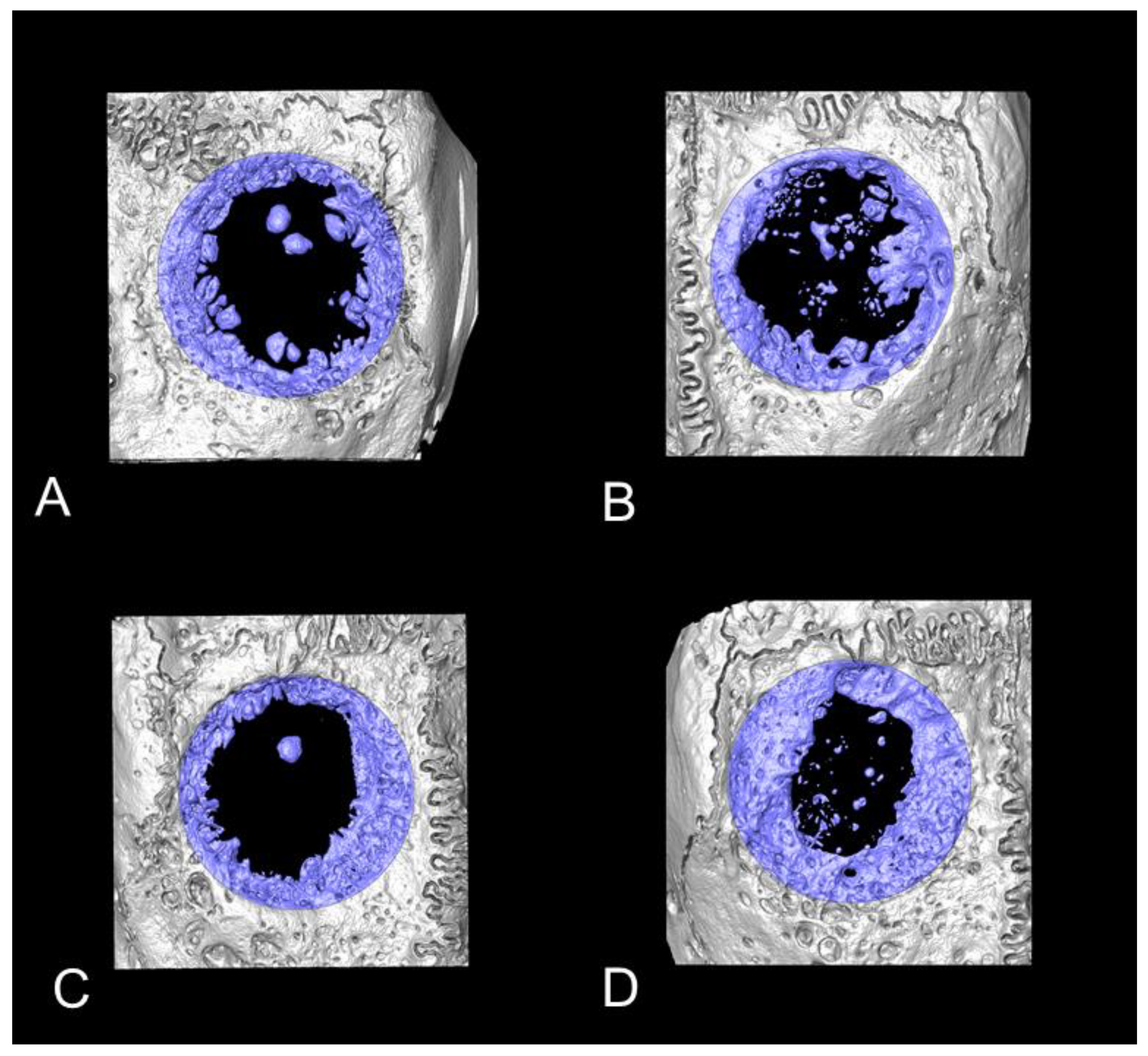 Biomedicines 09 00143 g004 Biomedicines 09 00143 g004
