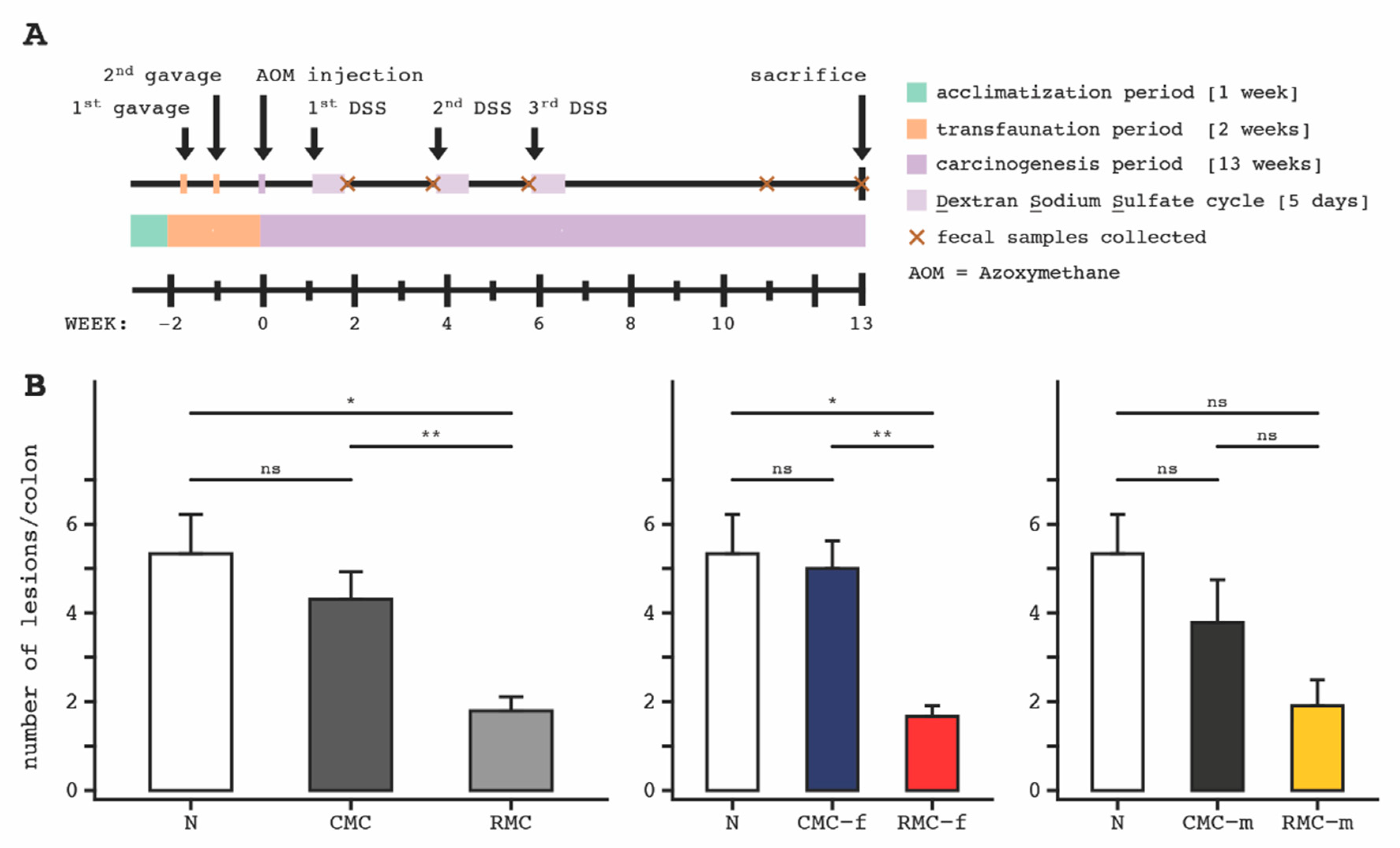 Biomedicines 09 00144 g001 Biomedicines 09 00144 g001
