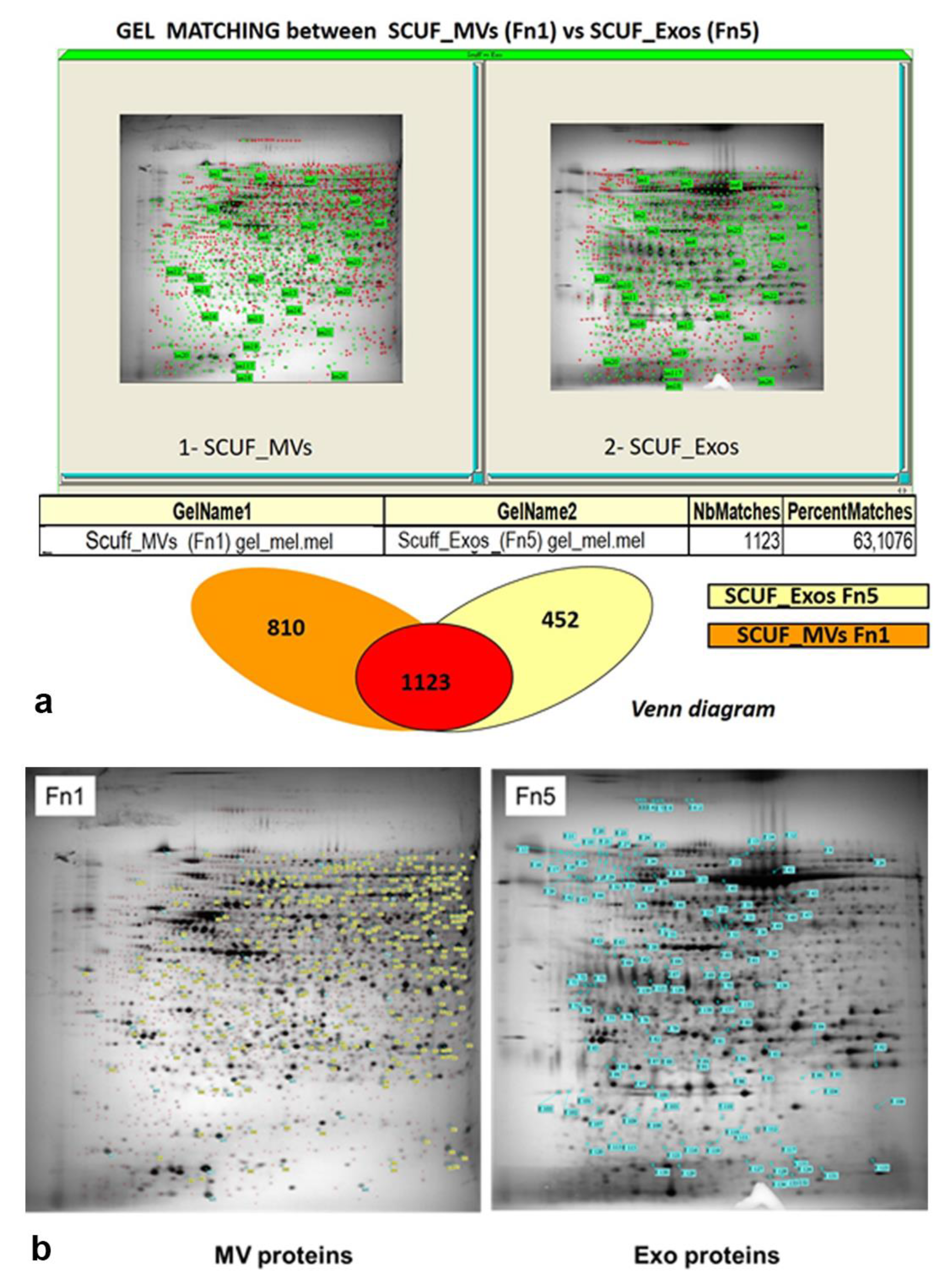 Biomedicines 09 00146 g005 Biomedicines 09 00146 g005