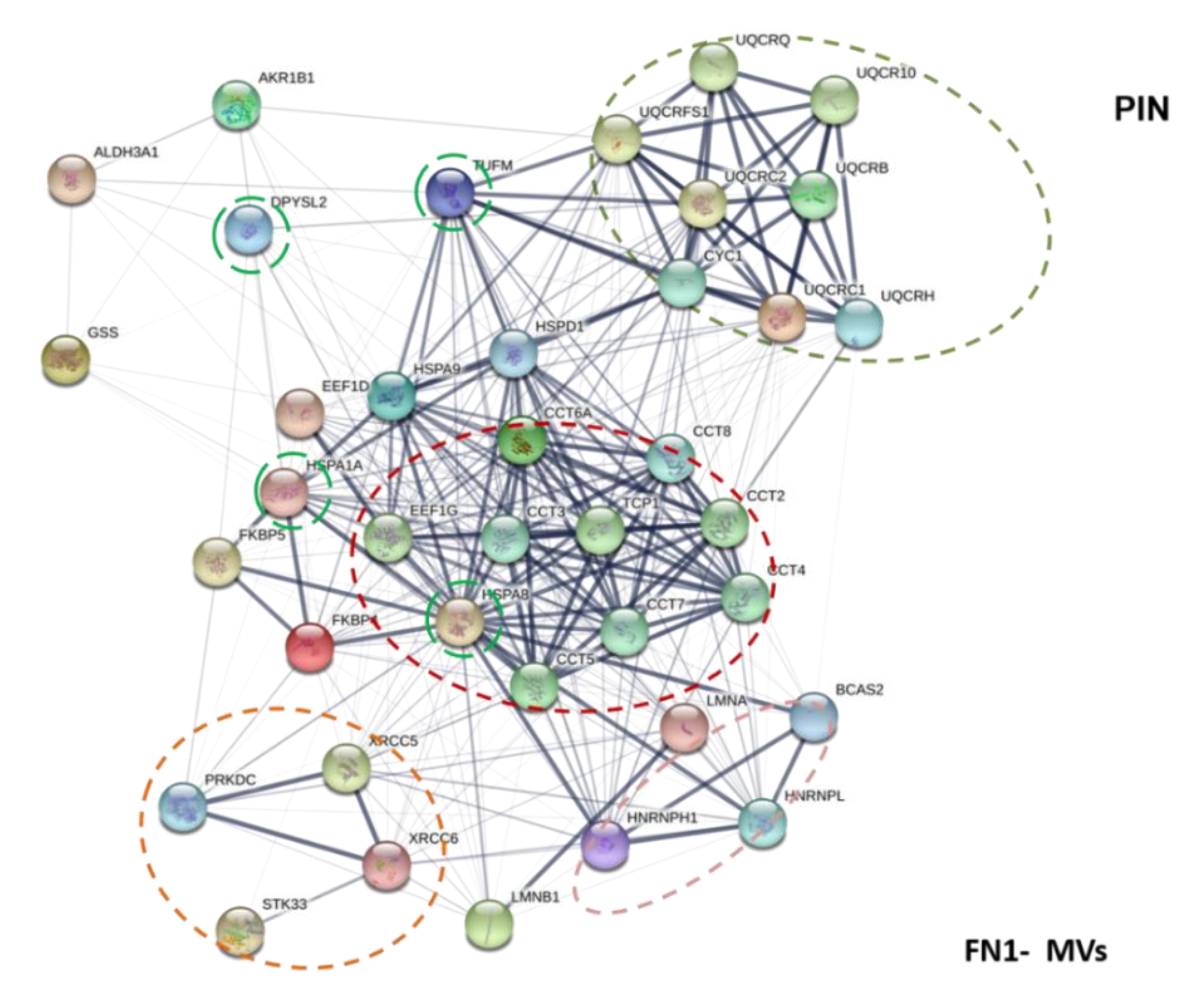 Biomedicines 09 00146 g007 Biomedicines 09 00146 g007