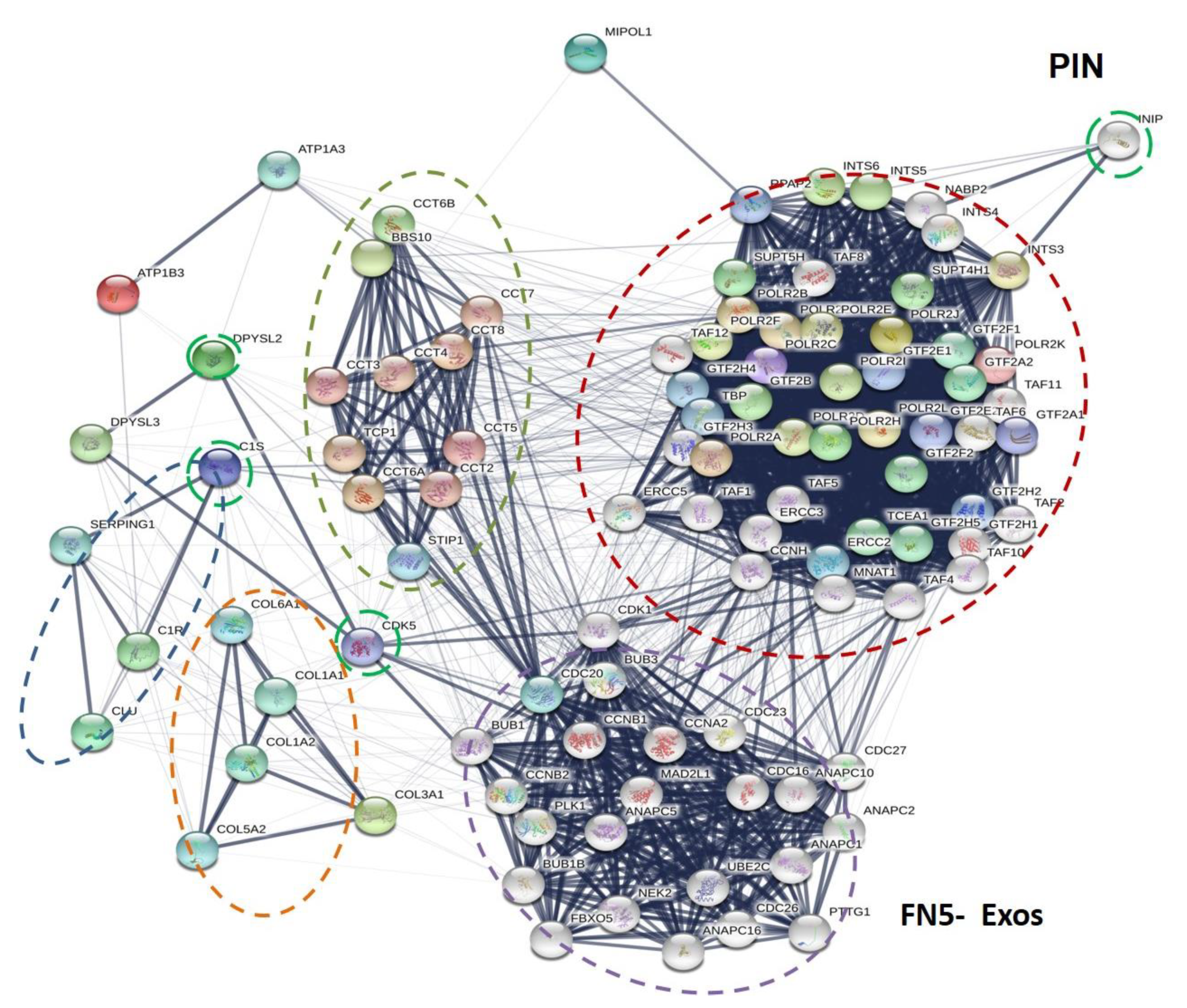 Biomedicines 09 00146 g008 Biomedicines 09 00146 g008