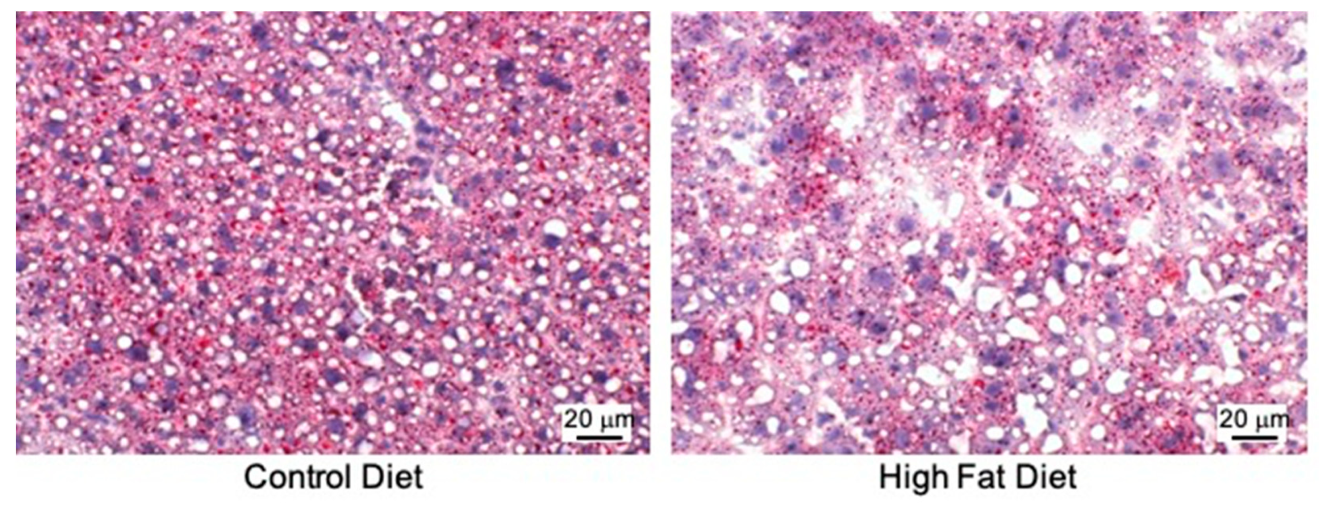 Biomedicines 09 00150 g002 Biomedicines 09 00150 g002