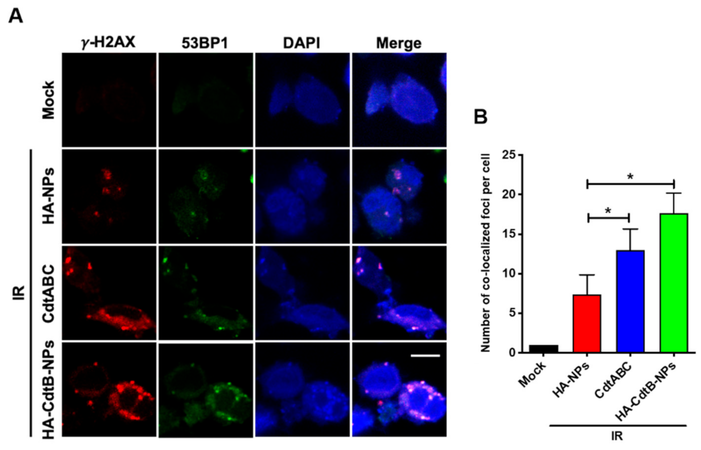 Biomedicines 09 00151 g005 Biomedicines 09 00151 g005