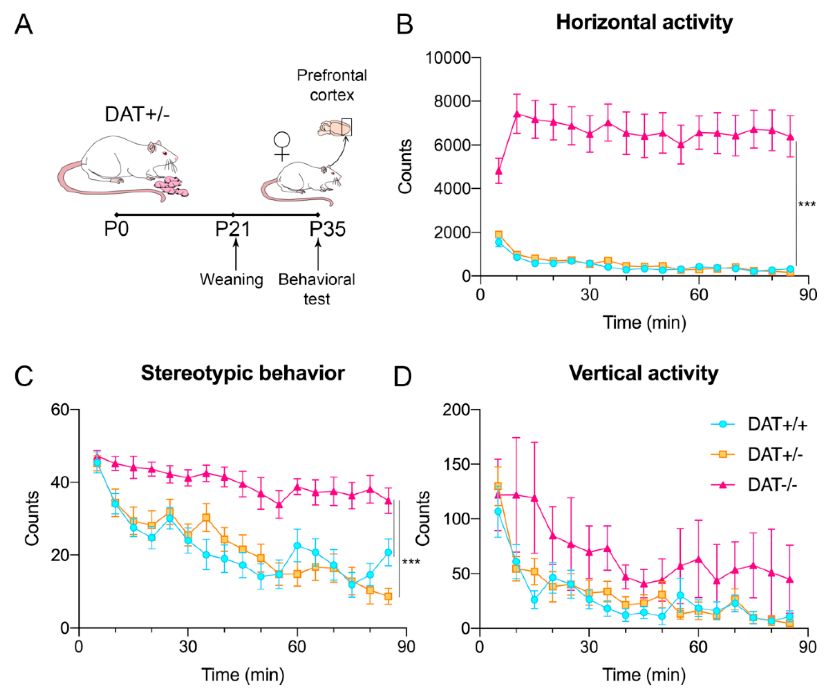 Biomedicines 09 00157 g001