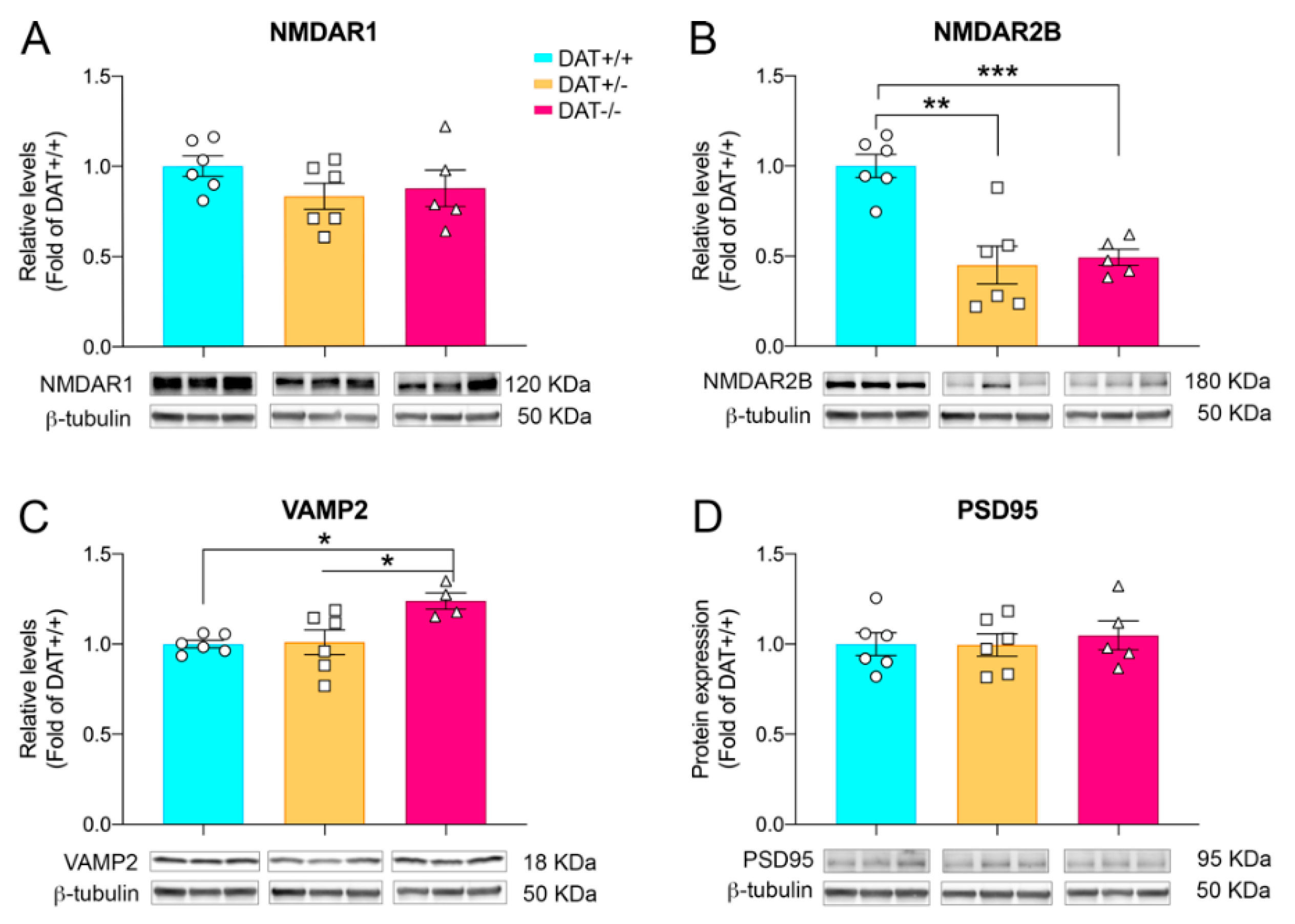 Biomedicines 09 00157 g002