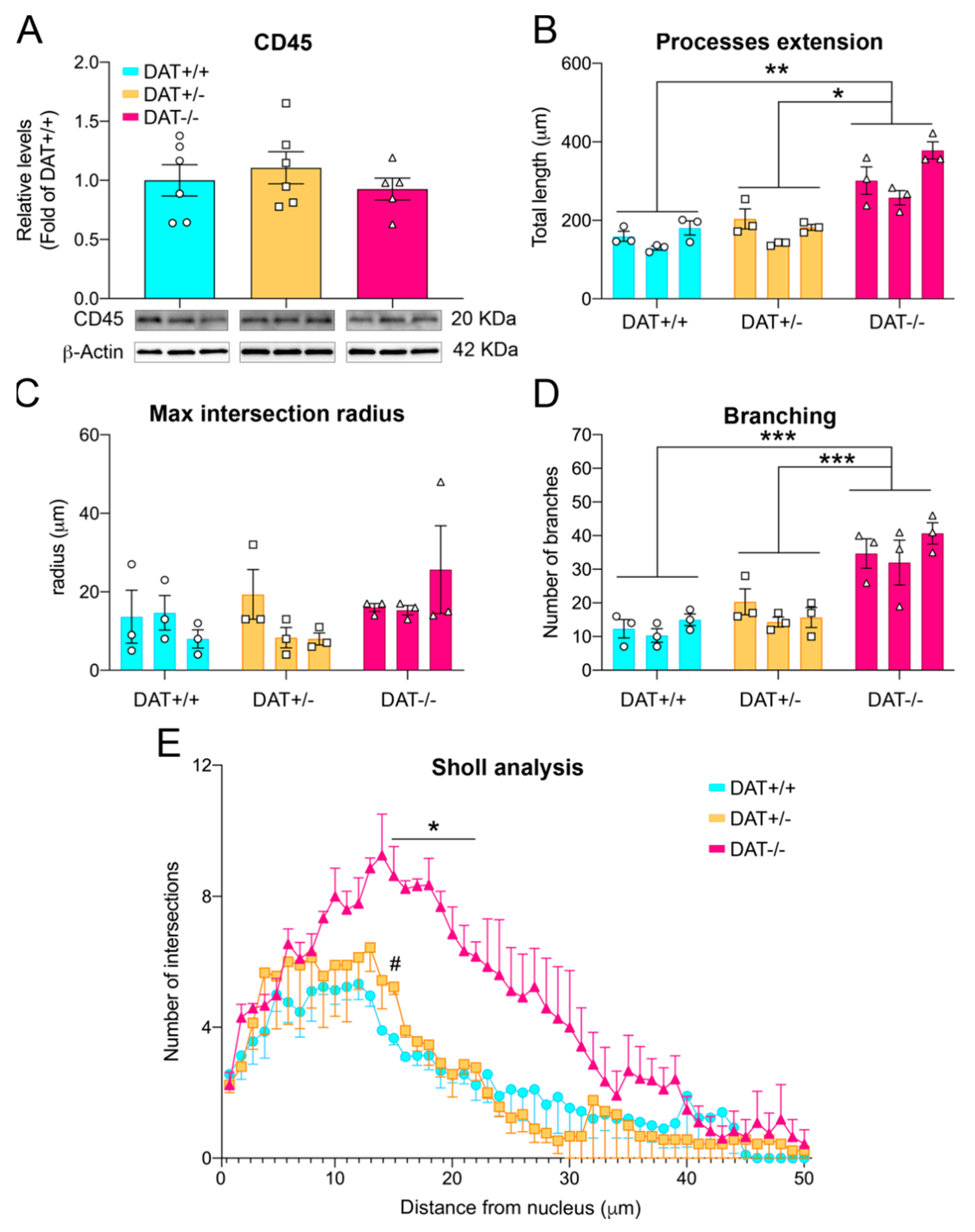 Biomedicines 09 00157 g005