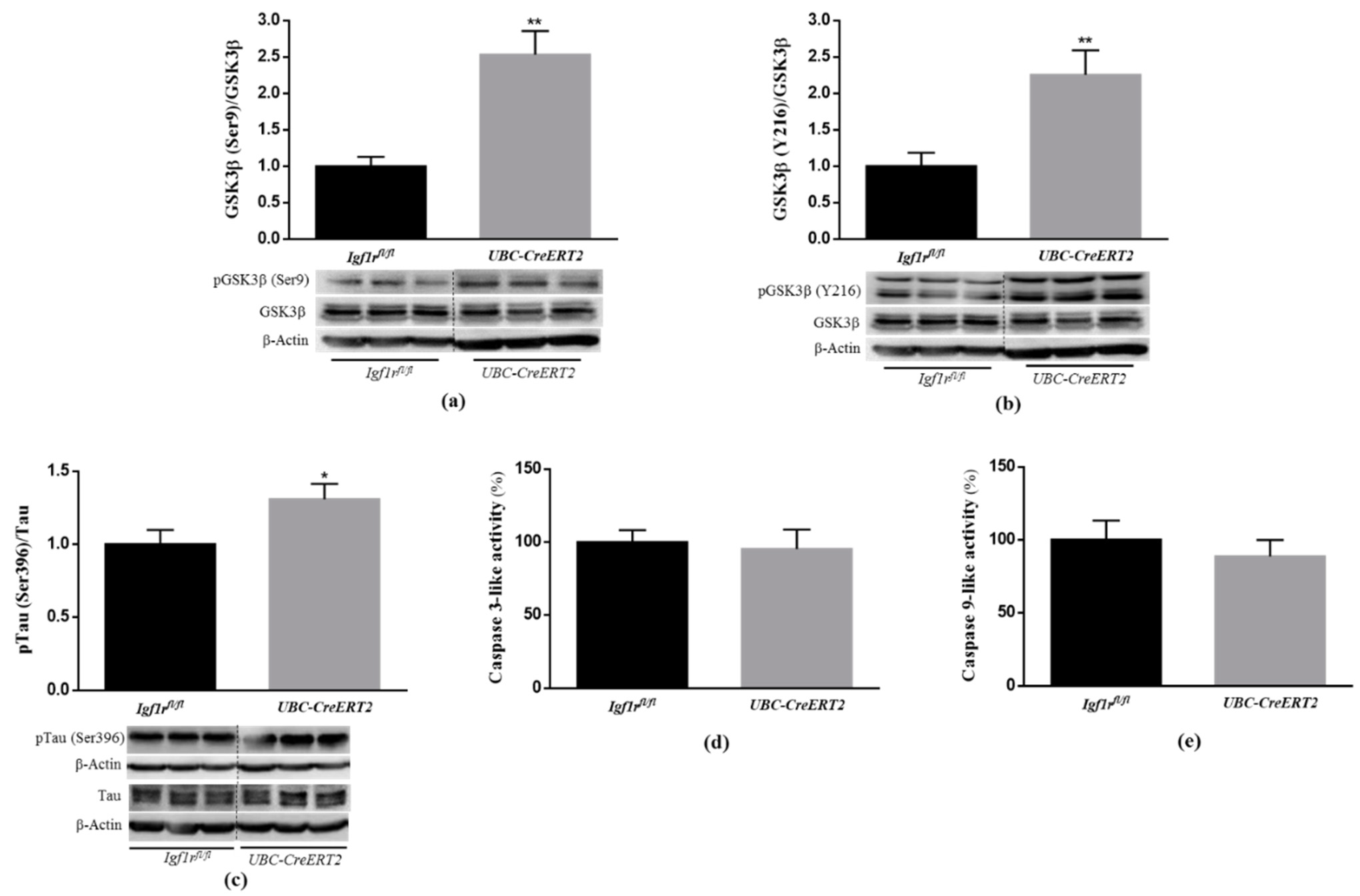 Biomedicines 09 00158 g003 Biomedicines 09 00158 g003