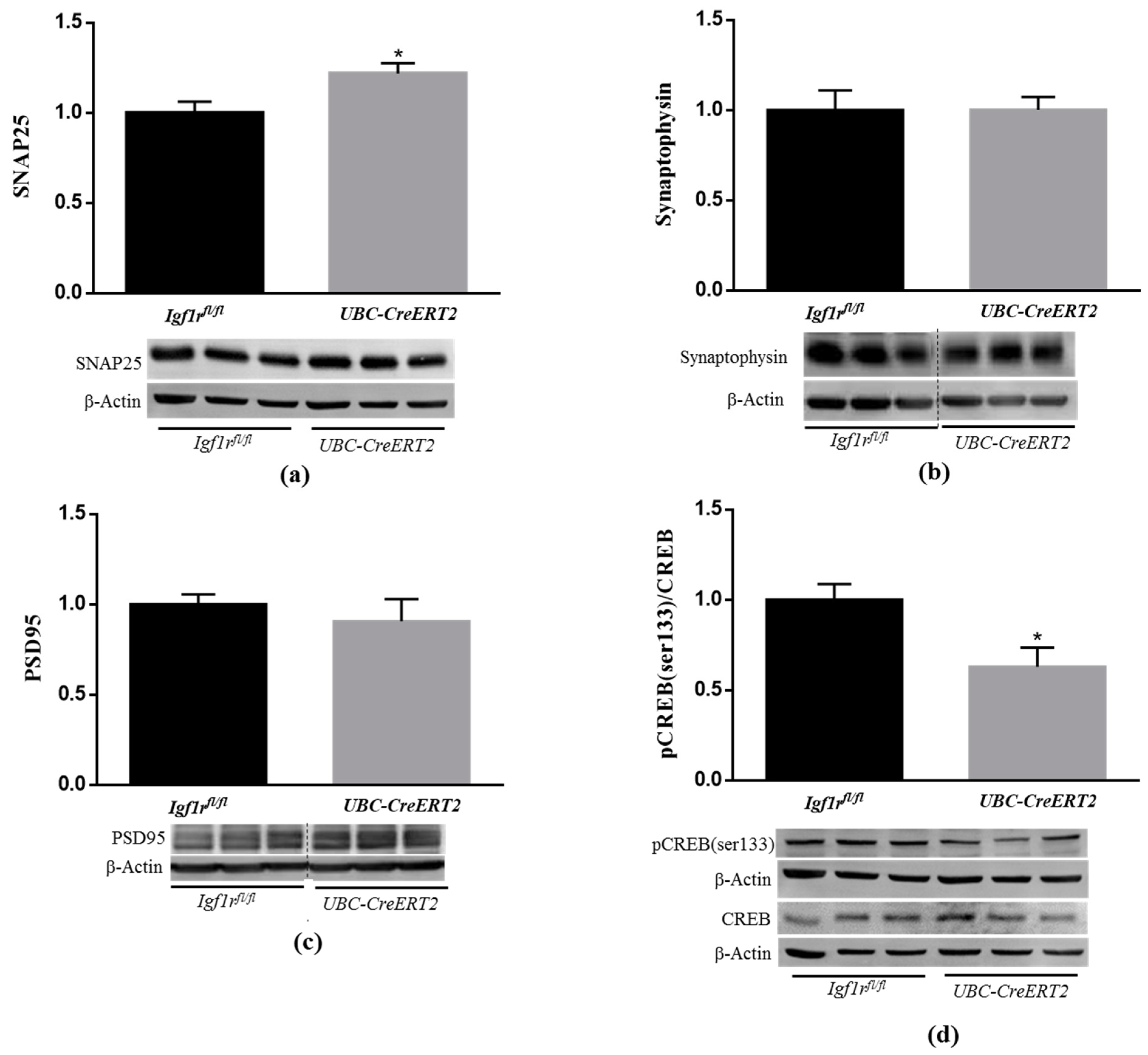 Biomedicines 09 00158 g004 Biomedicines 09 00158 g004