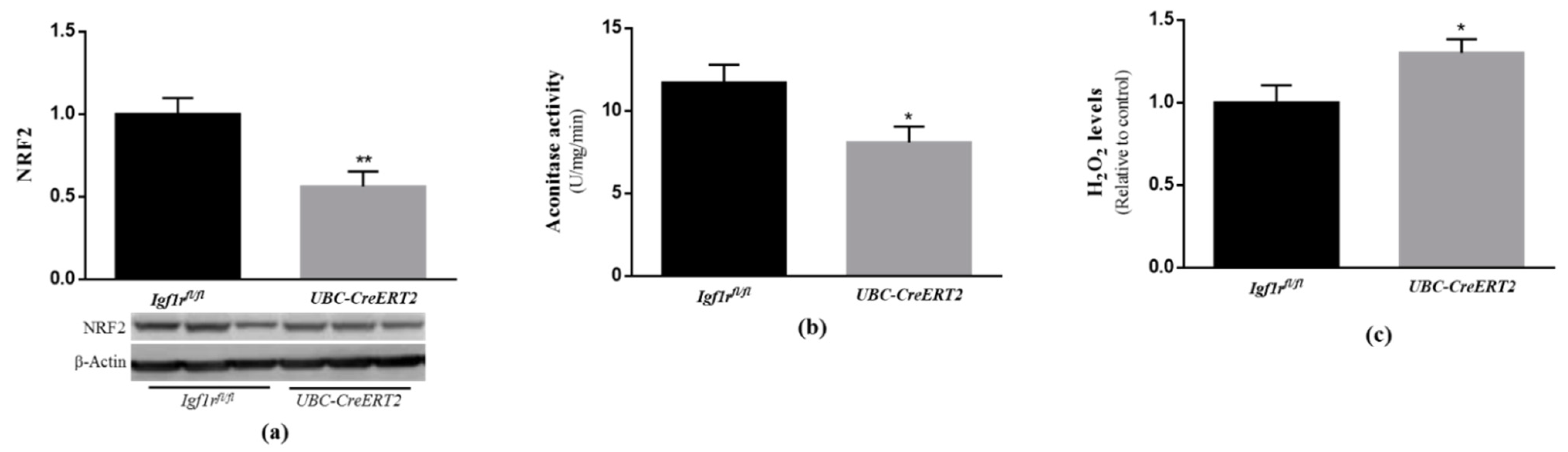 Biomedicines 09 00158 g005 Biomedicines 09 00158 g005