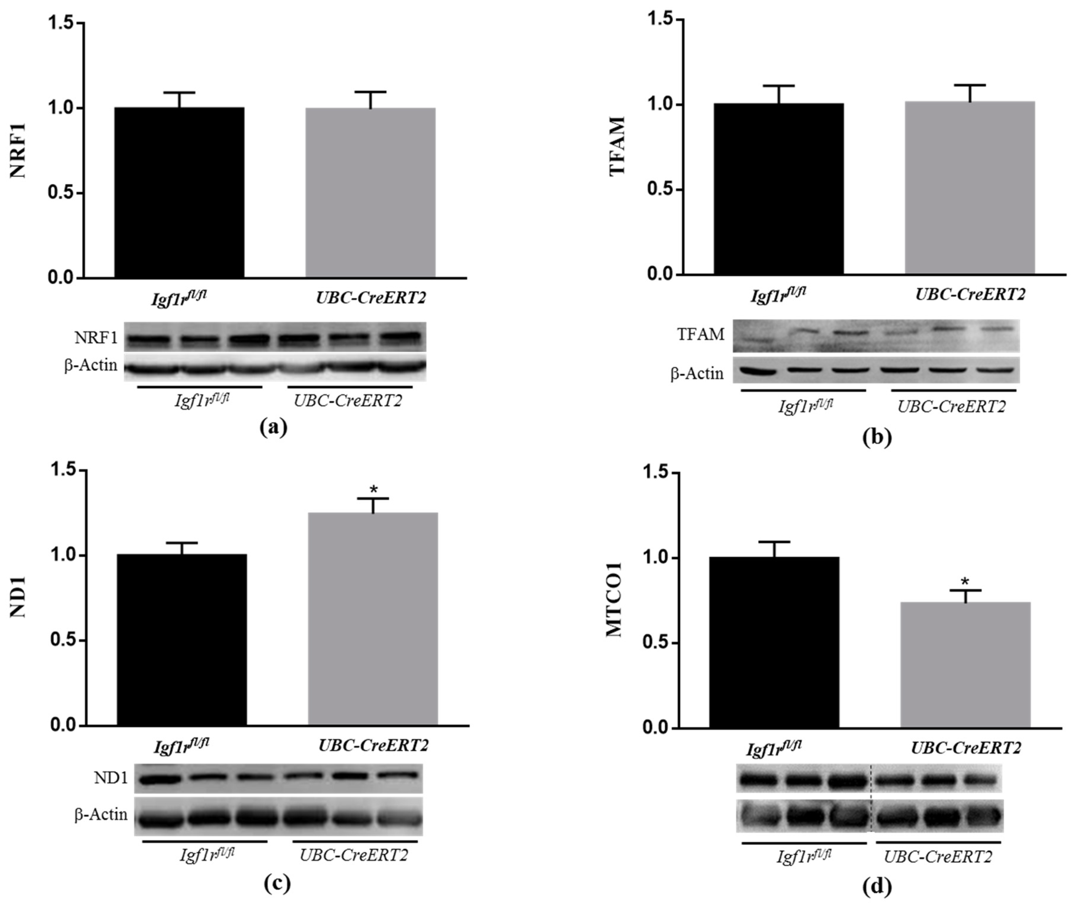 Biomedicines 09 00158 g006 Biomedicines 09 00158 g006