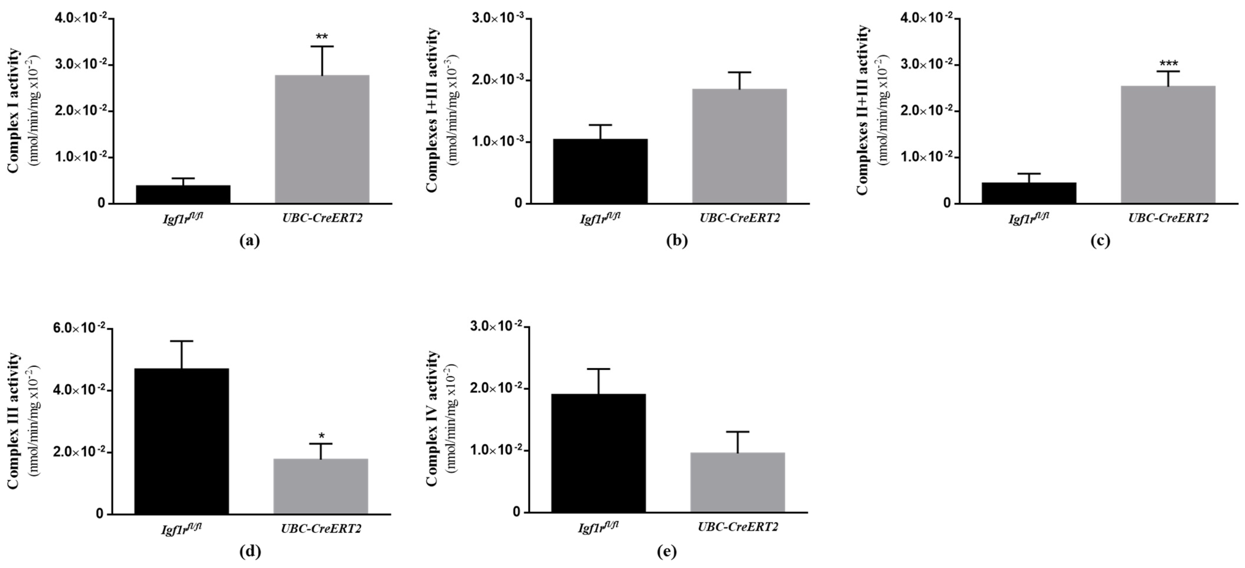 Biomedicines 09 00158 g007 Biomedicines 09 00158 g007