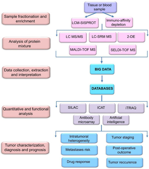 How Photocatalyst Dosage and Ultrasound Application