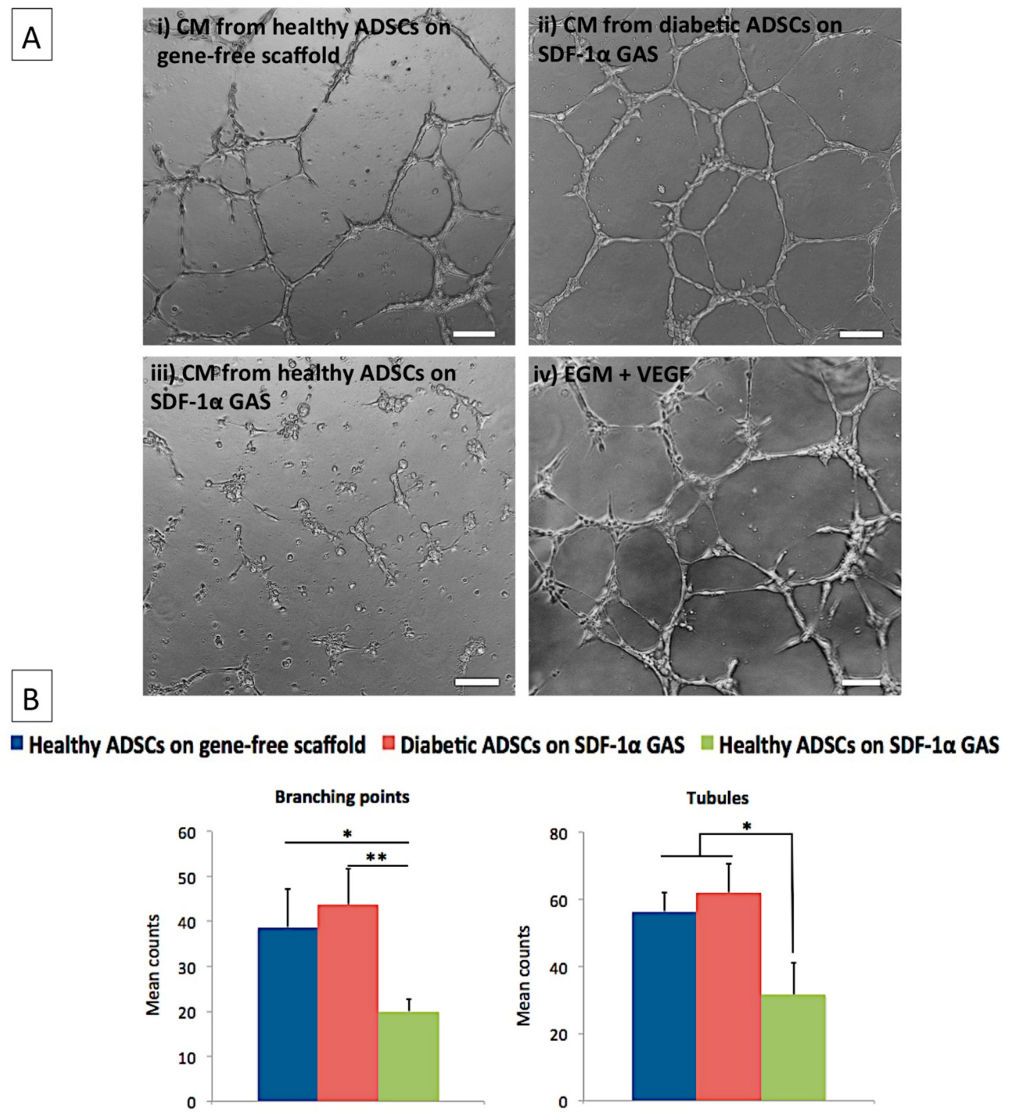 Biomedicines 09 00160 g004 Biomedicines 09 00160 g004