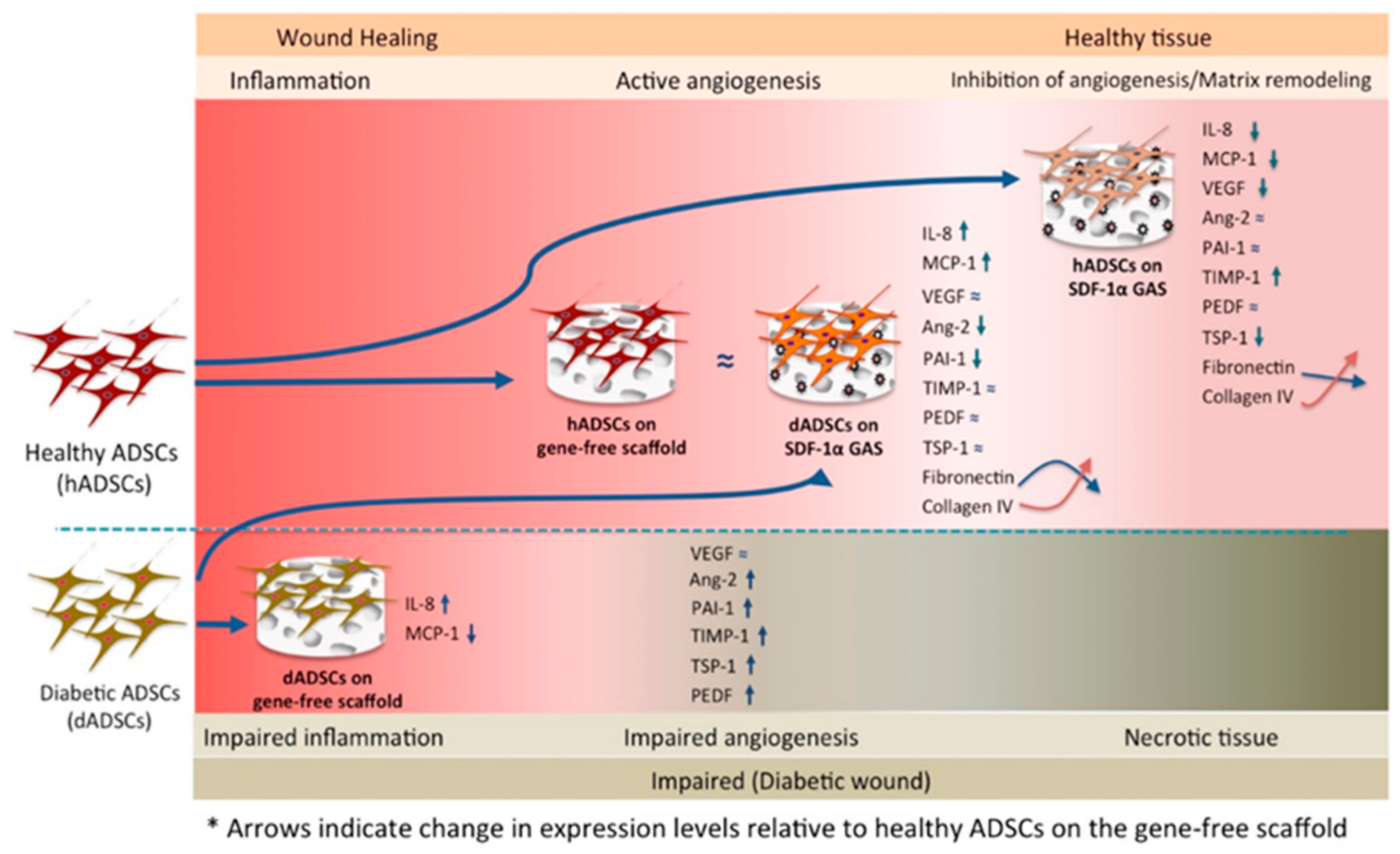 Biomedicines 09 00160 g007 Biomedicines 09 00160 g007