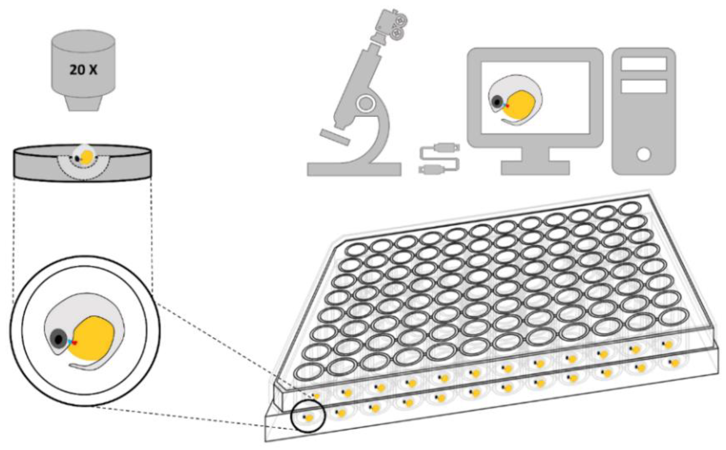 Biomedicines 09 00165 g001 Biomedicines 09 00165 g001